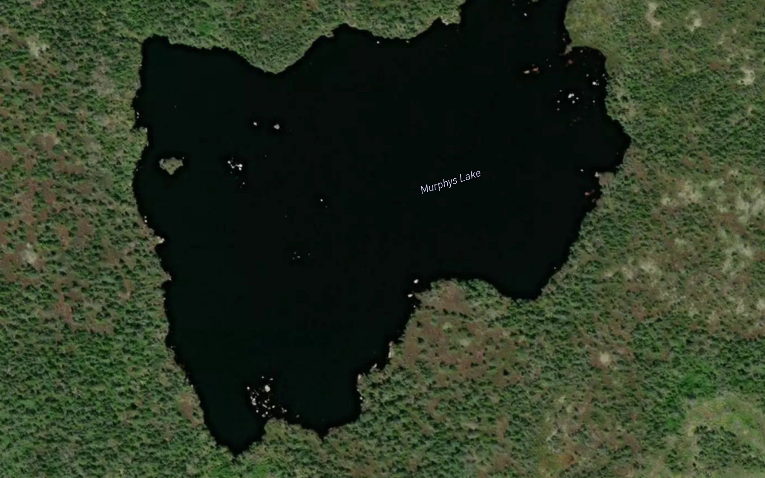 Murphys Lake