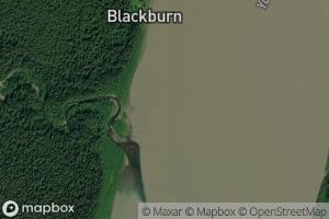 Blackburn Creek