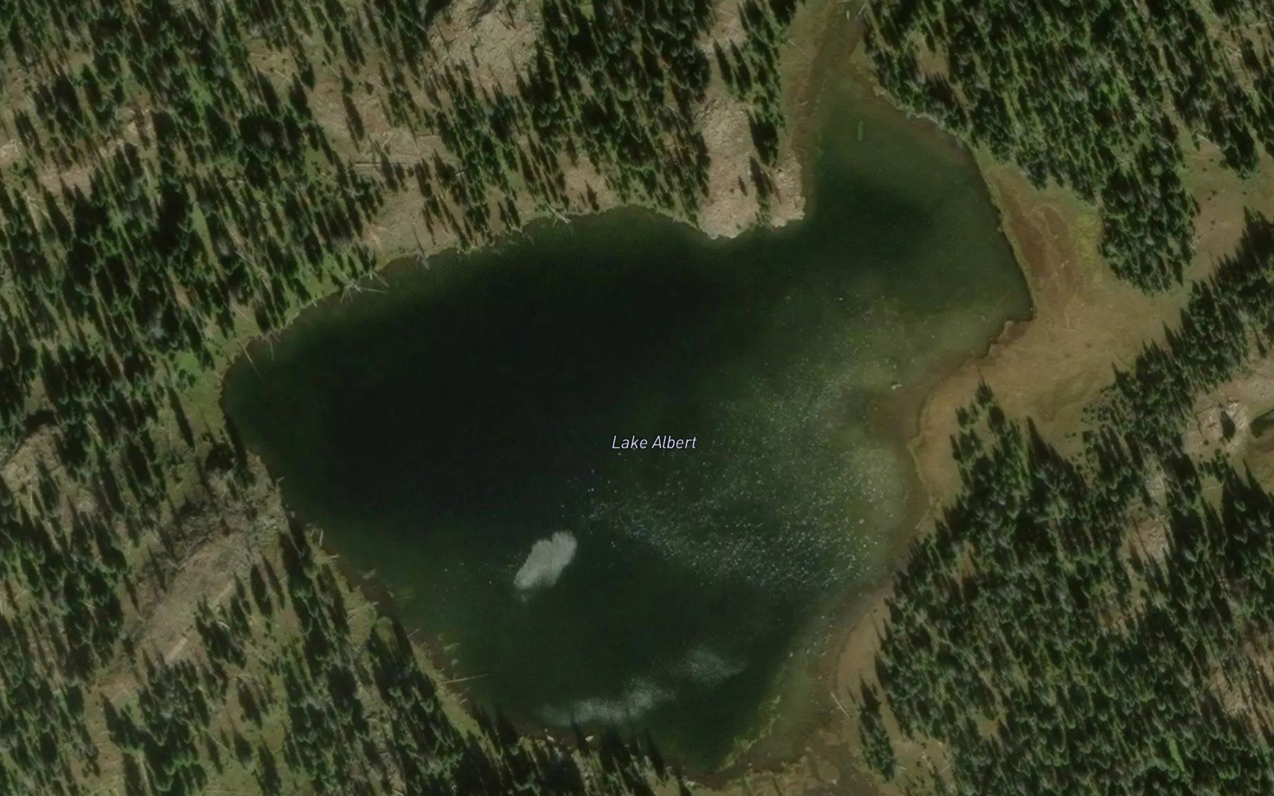 Lake Albert