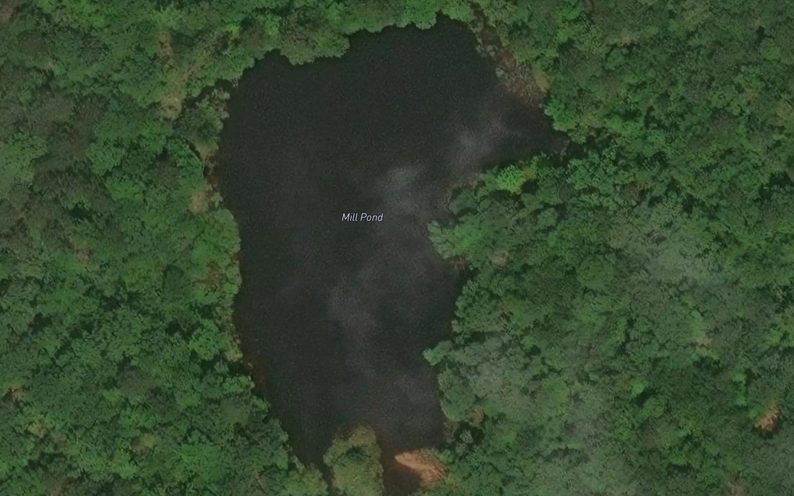 Mill Pond