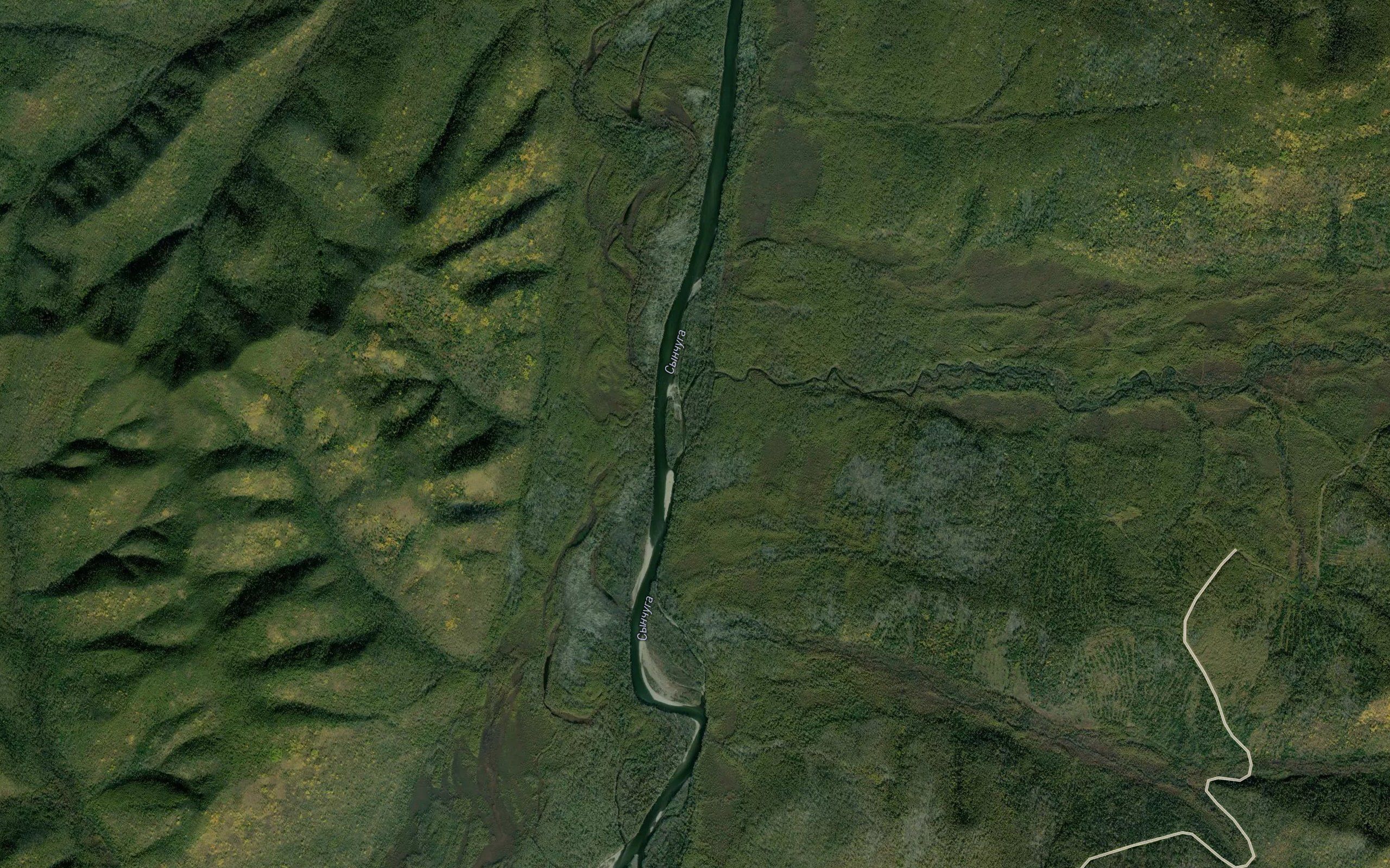 Nimgan