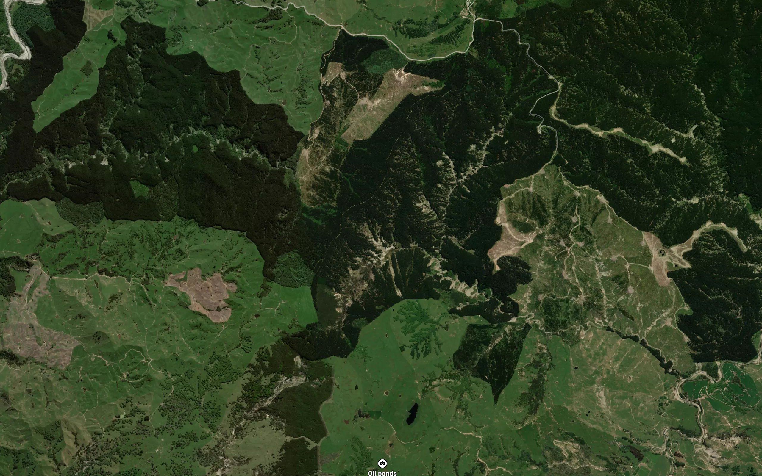 Waitangi Stream