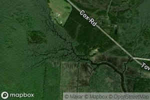 McClendon Creek