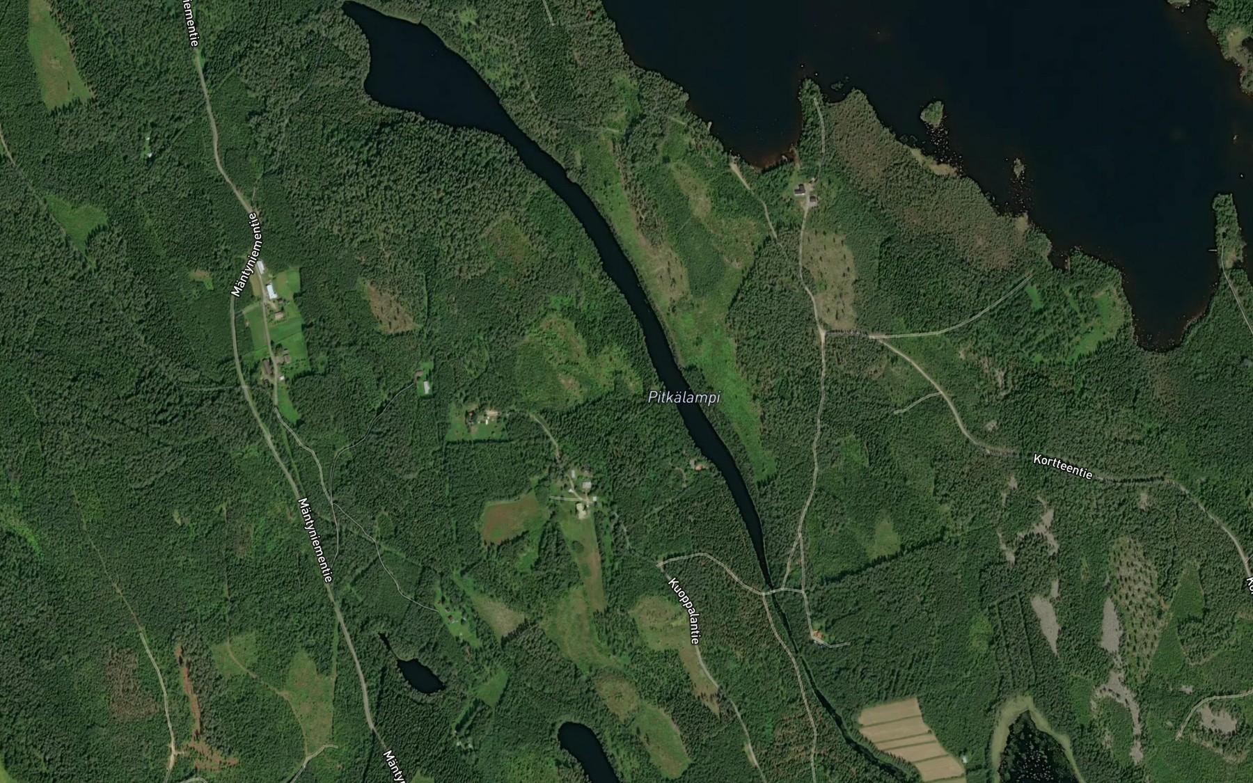 Satellite map of the Pitkalampi
