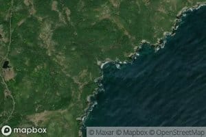 Wild Cove Pond Brook