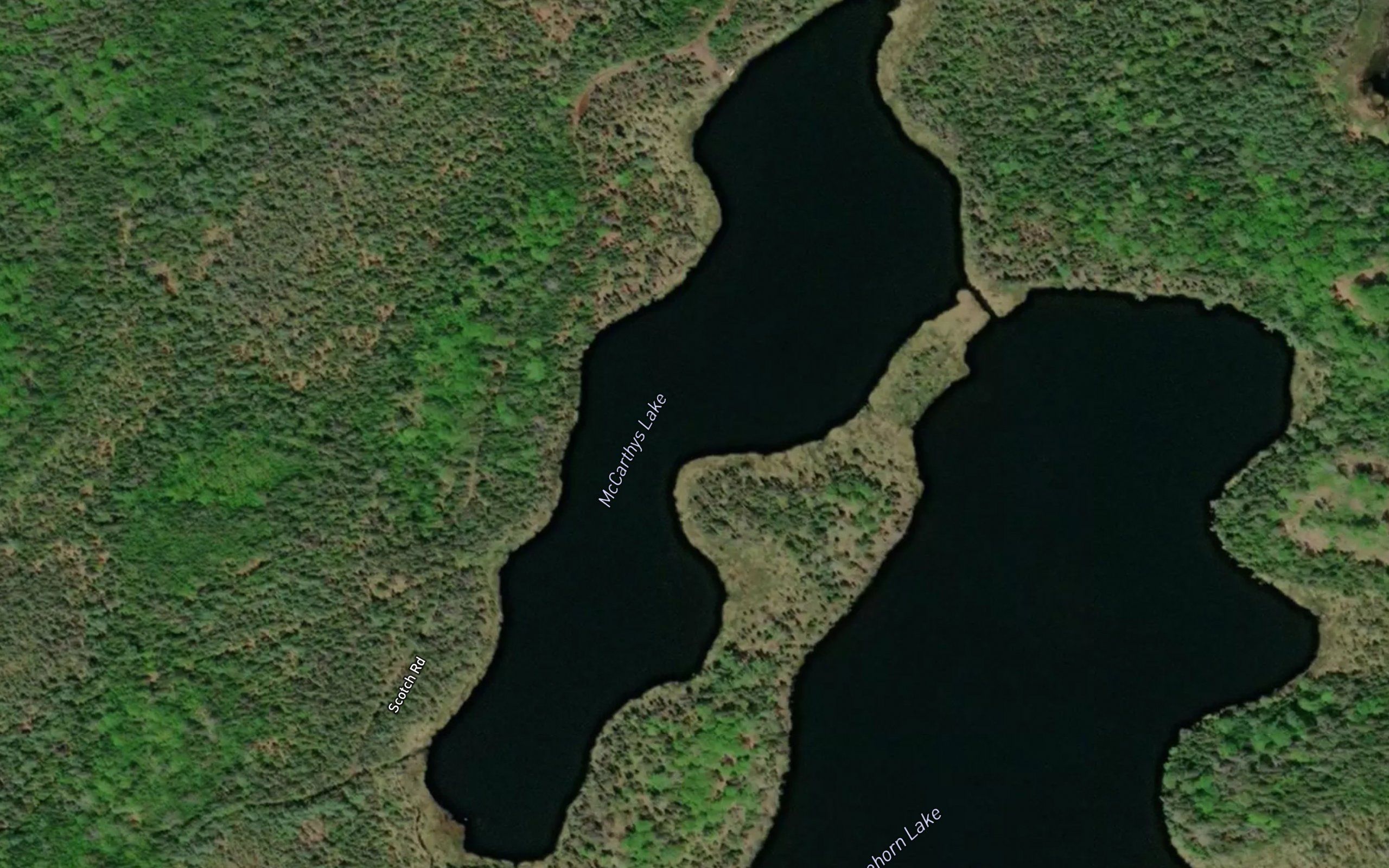 McCarthys Lake