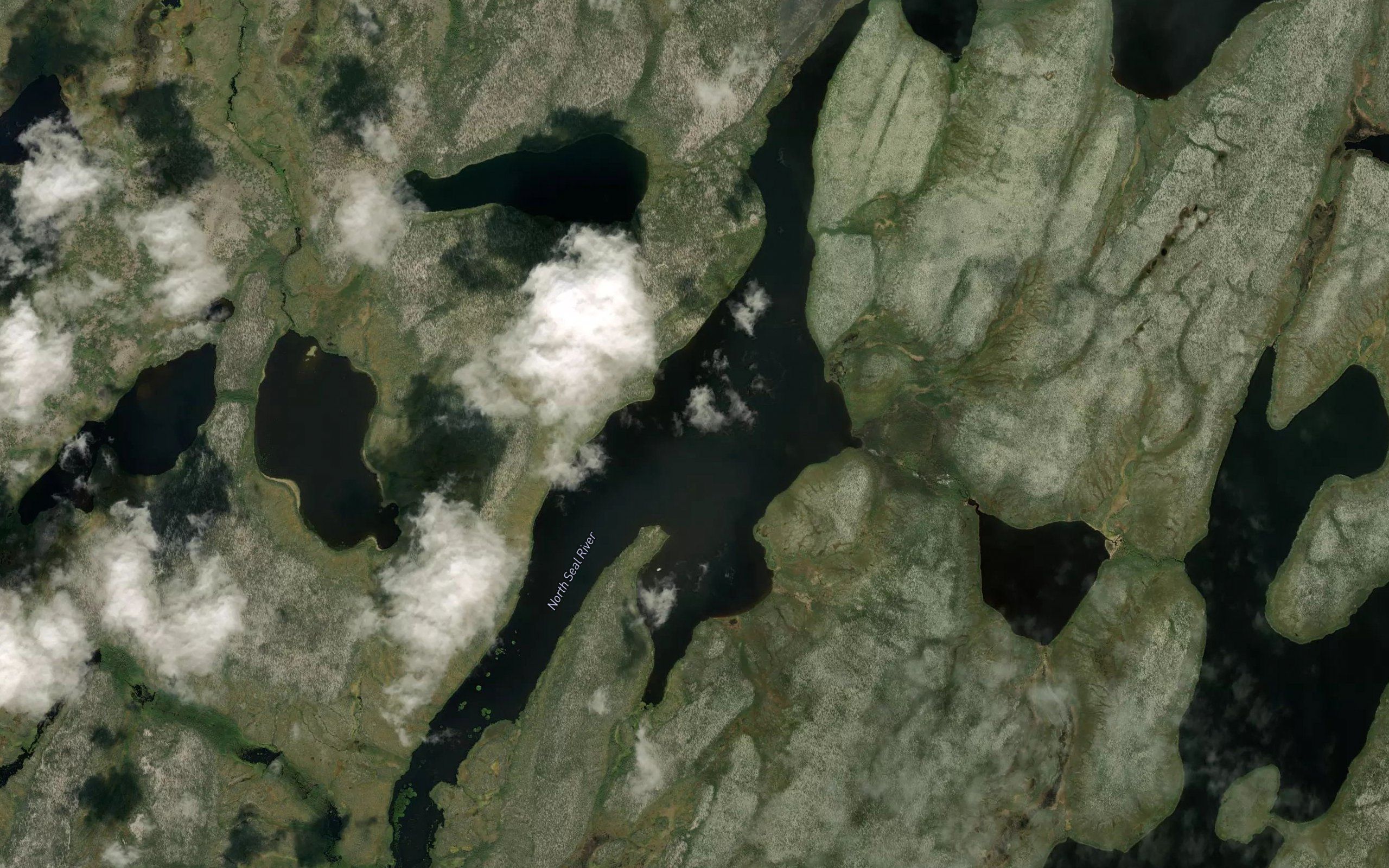 Shea Lake
