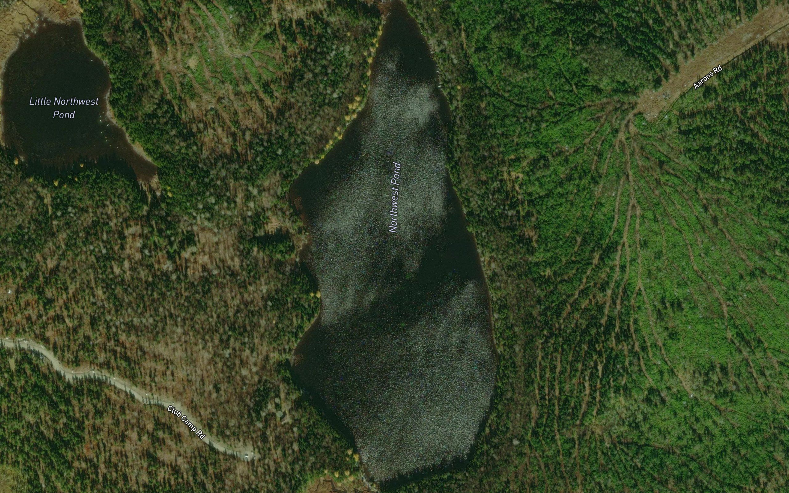 Northwest Pond