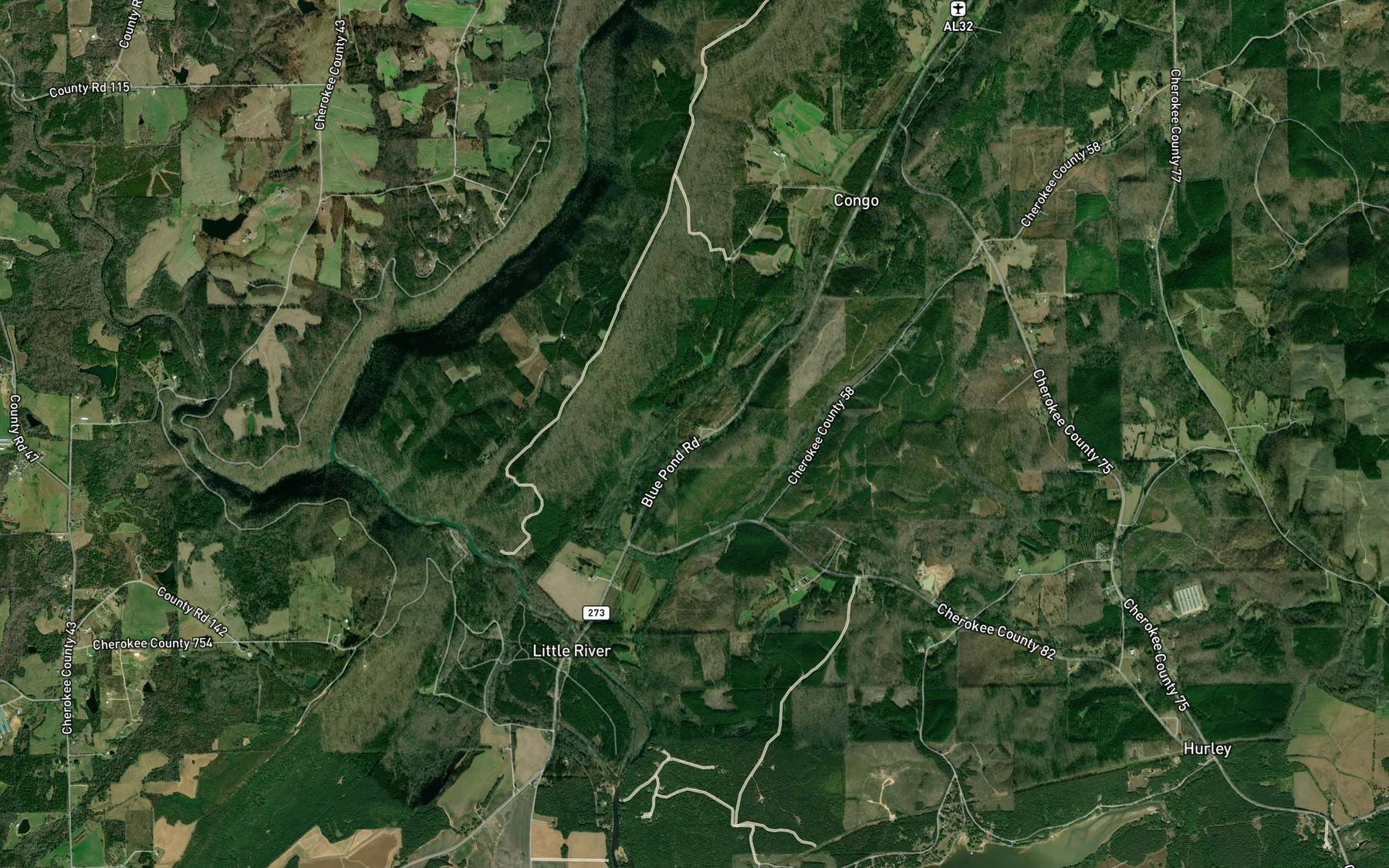 Satellite map of the Congo Spring