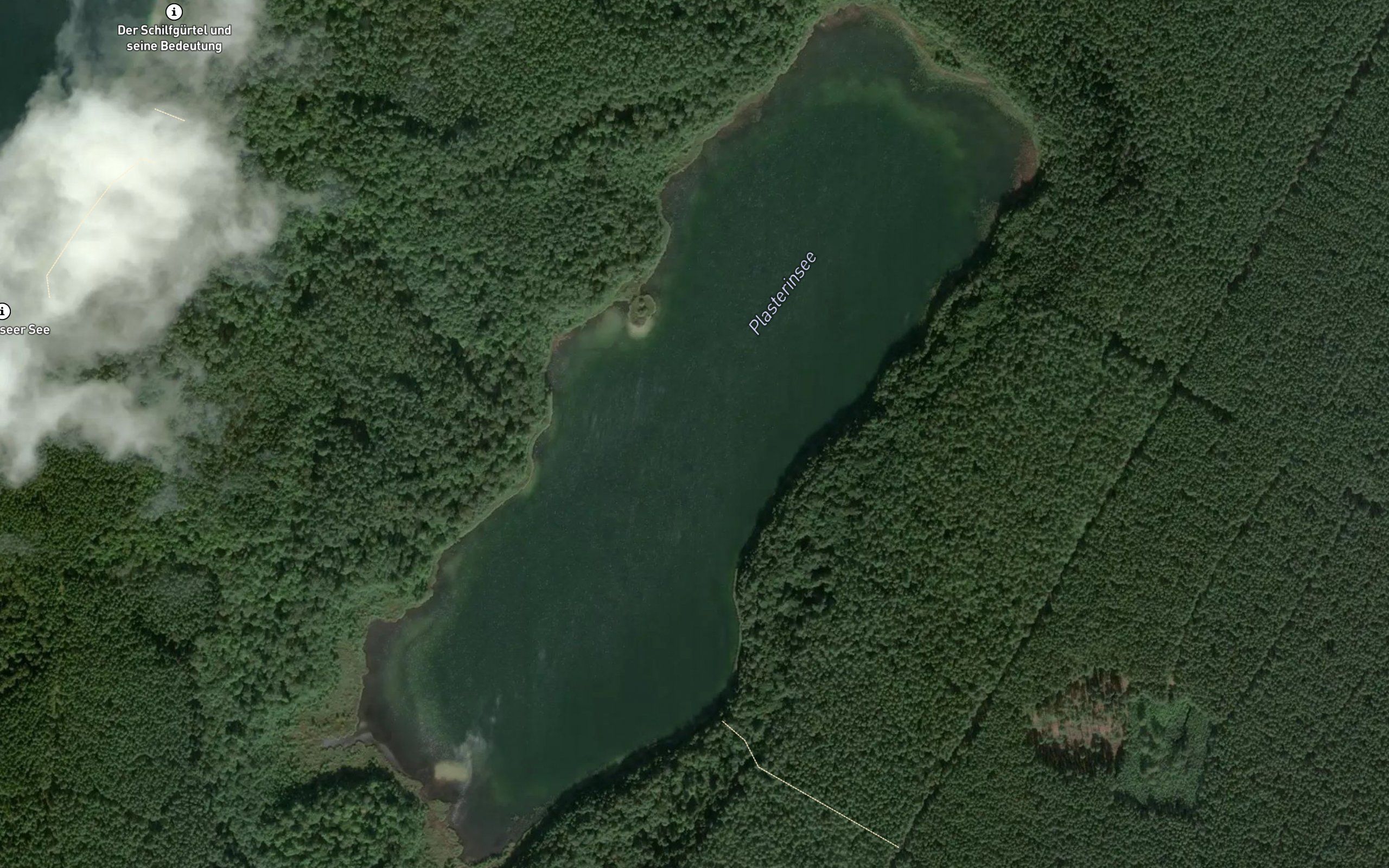 Plasterinsee