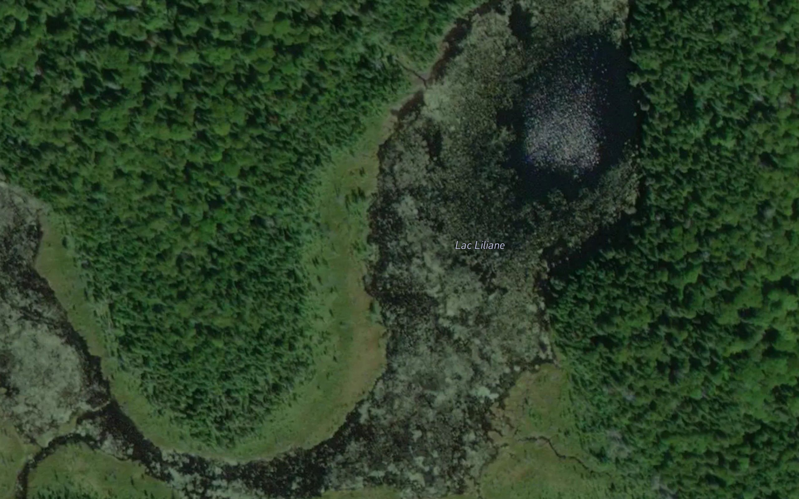 Lac Liliane