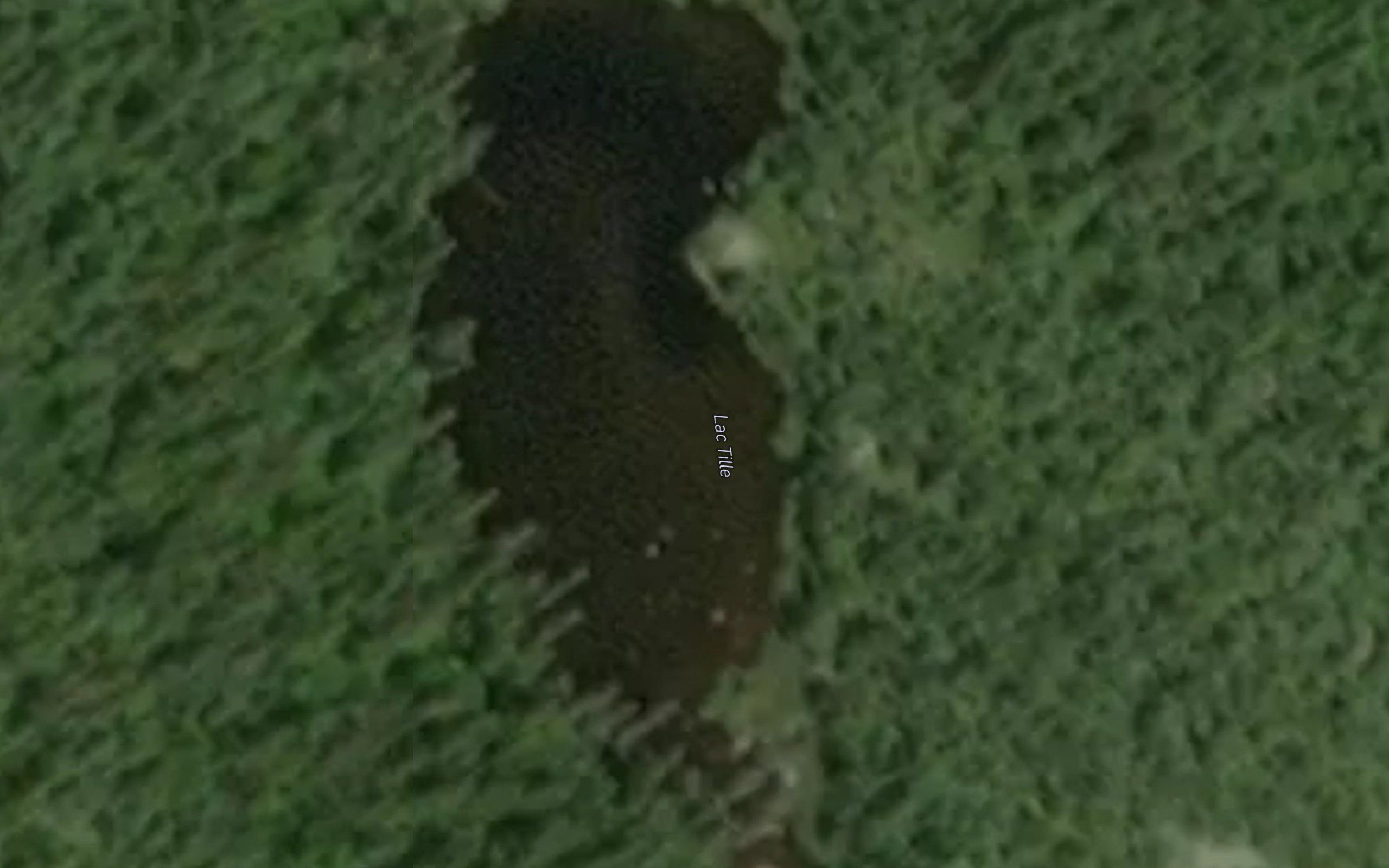 Lac Tille