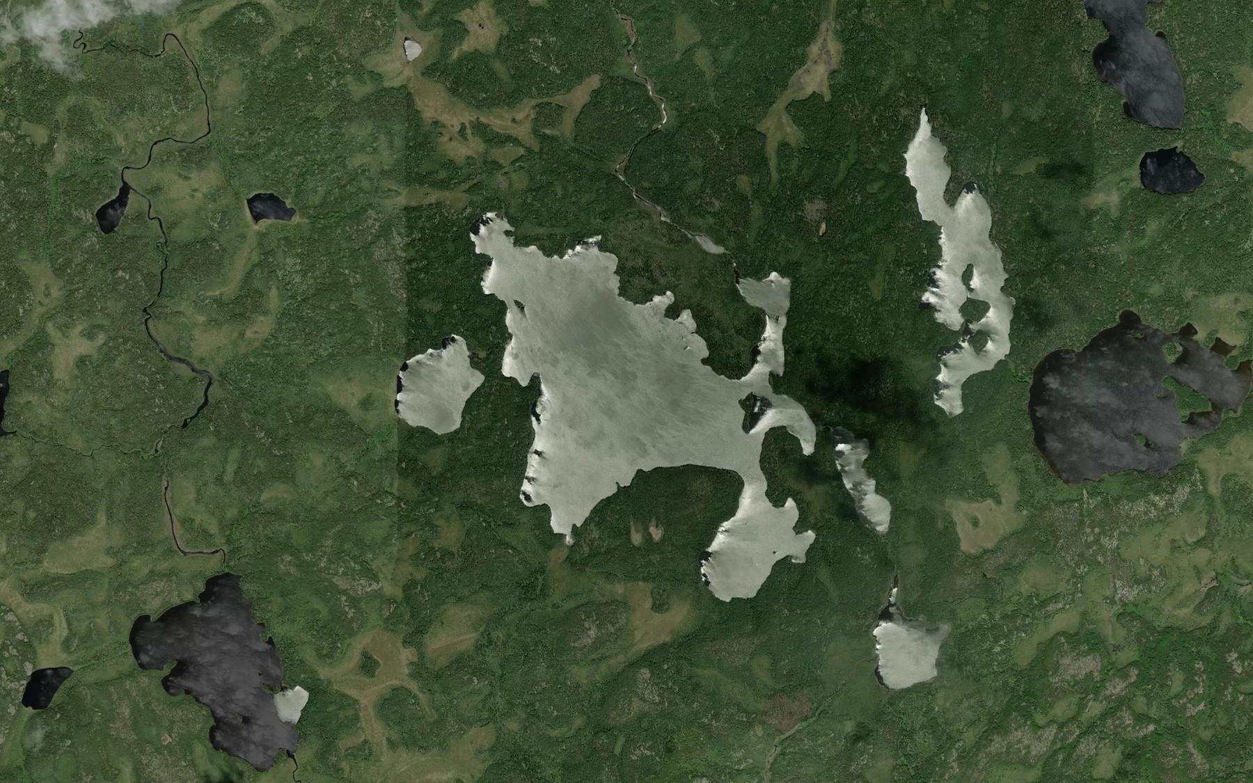 Satellite map of the Pierson Lake