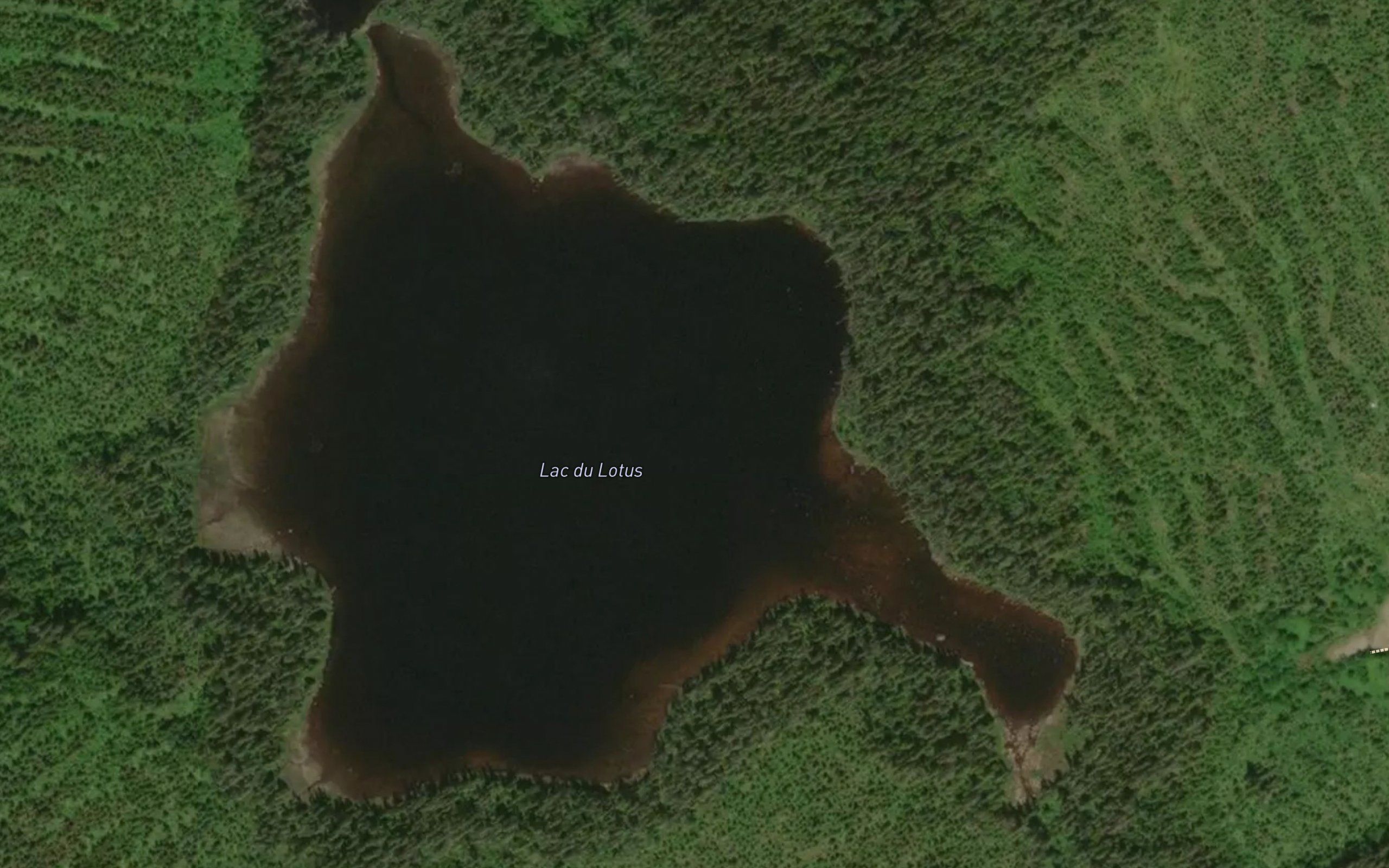 Lac du Lotus