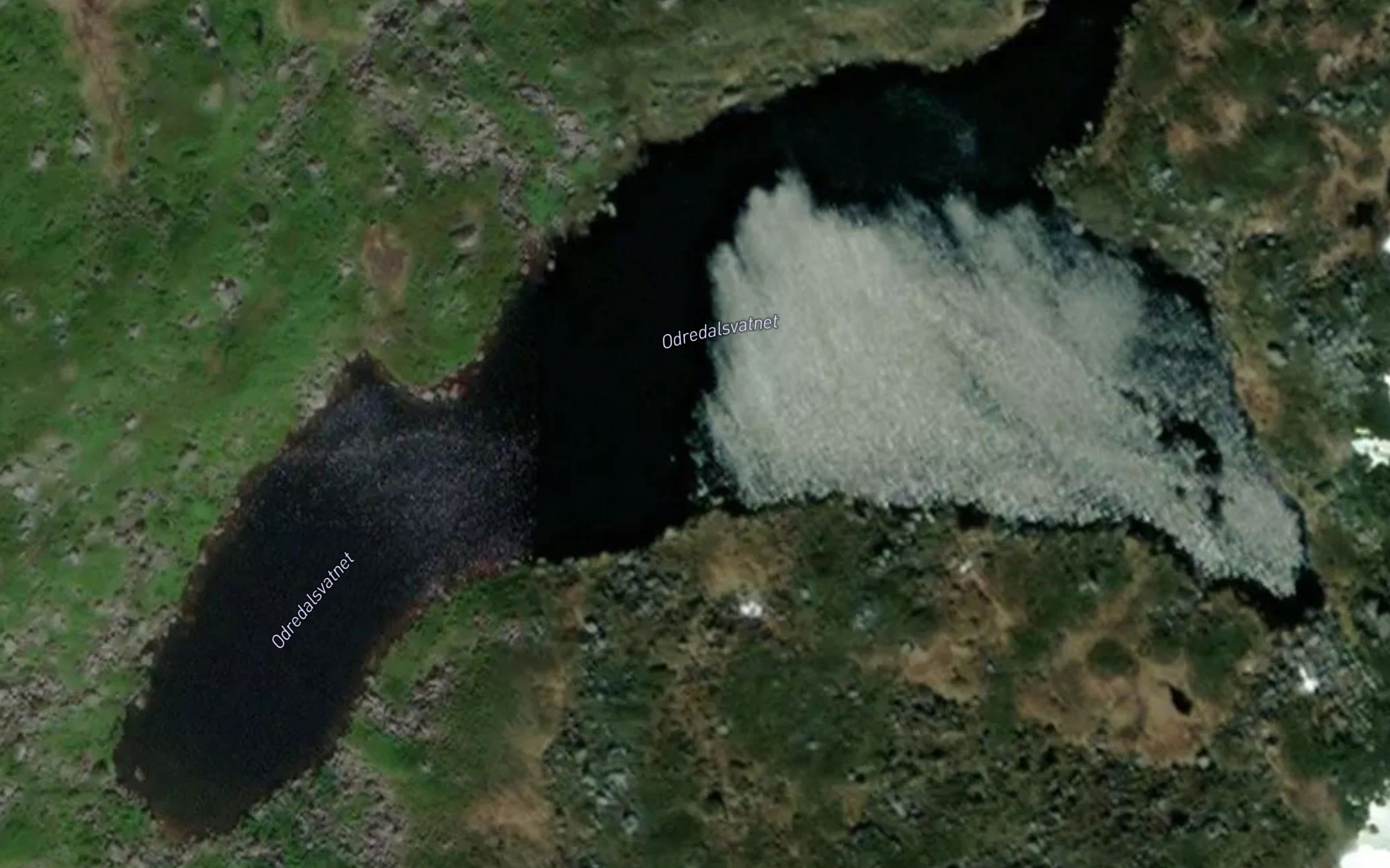 Odredalsvatnet