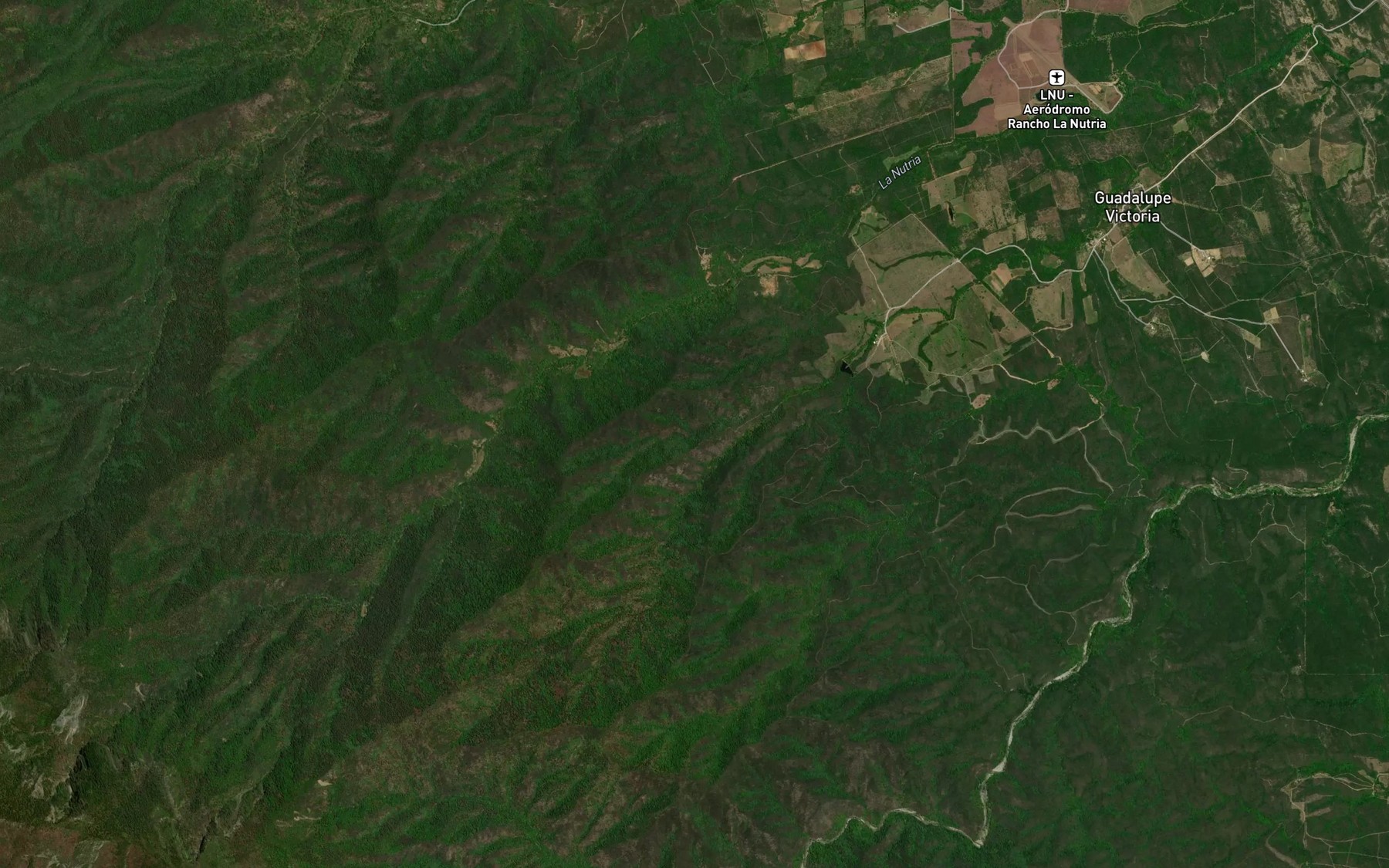 Satellite map of the El Columpio