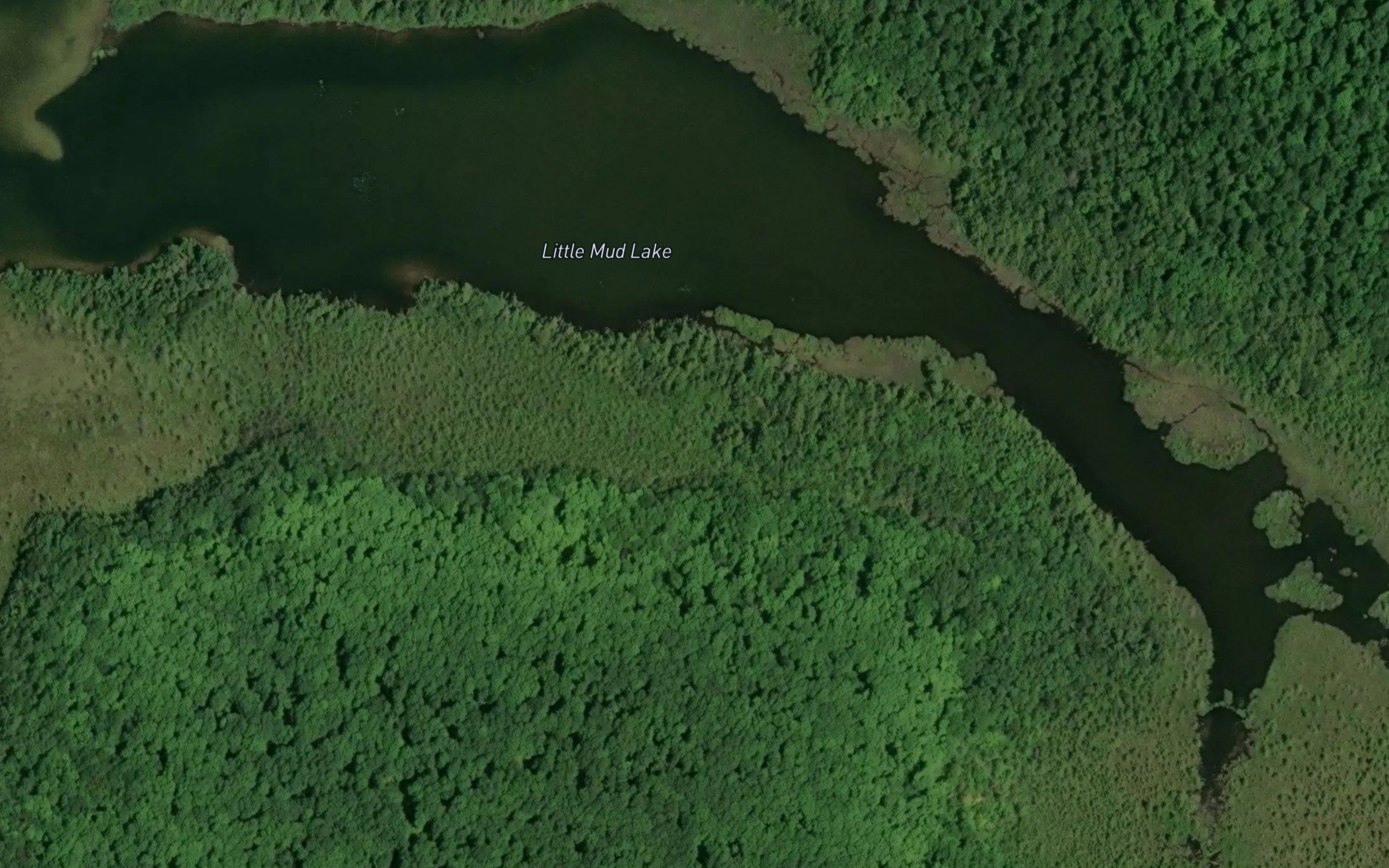 Little Mud Lake