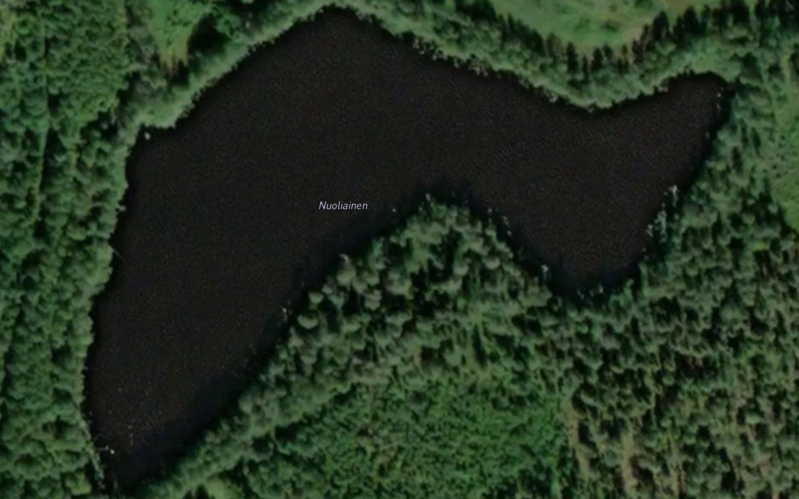 Nuoliainen