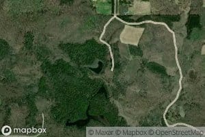 Hogelee Spring Number One