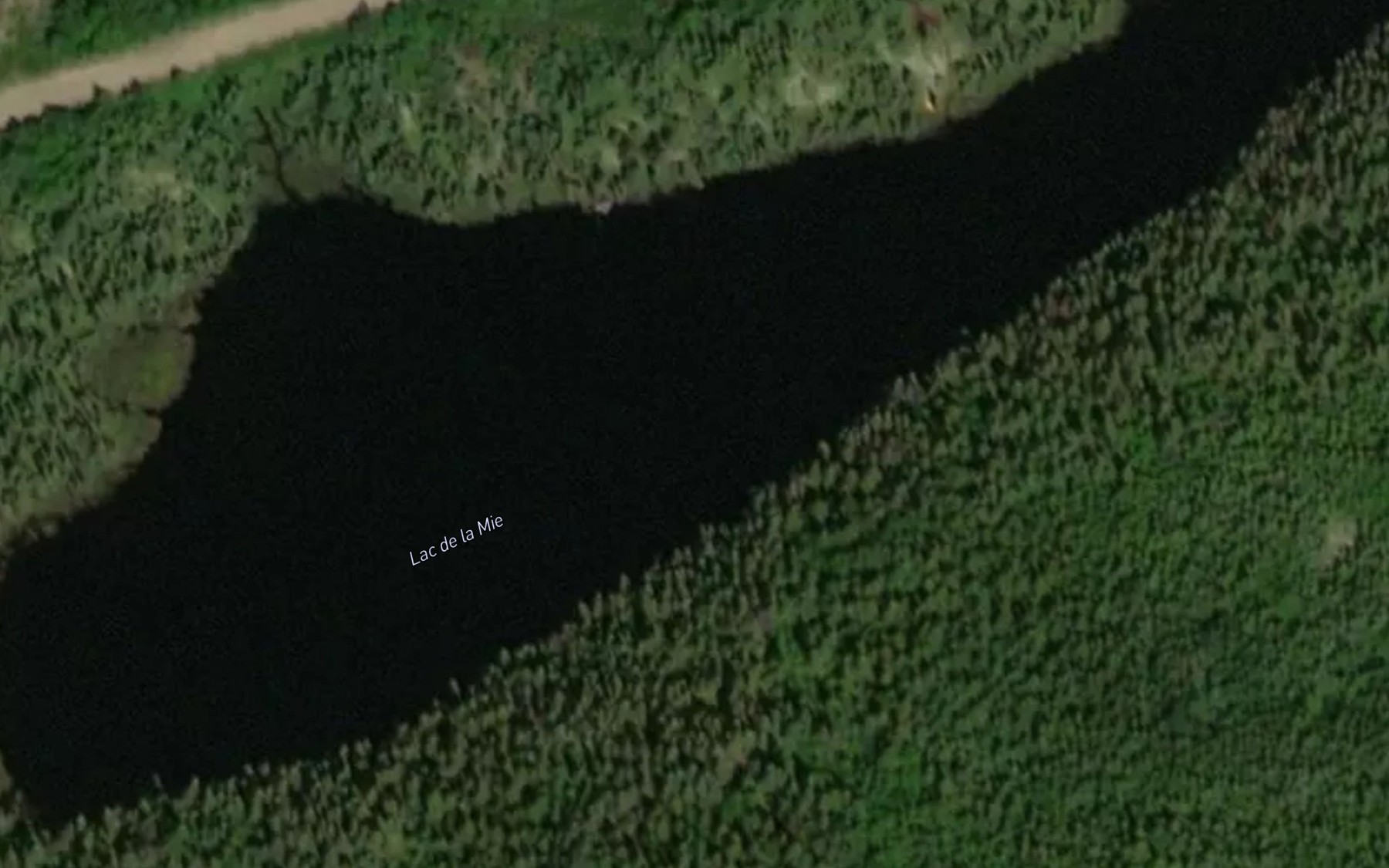 Satellite map of the Lac de la Mie
