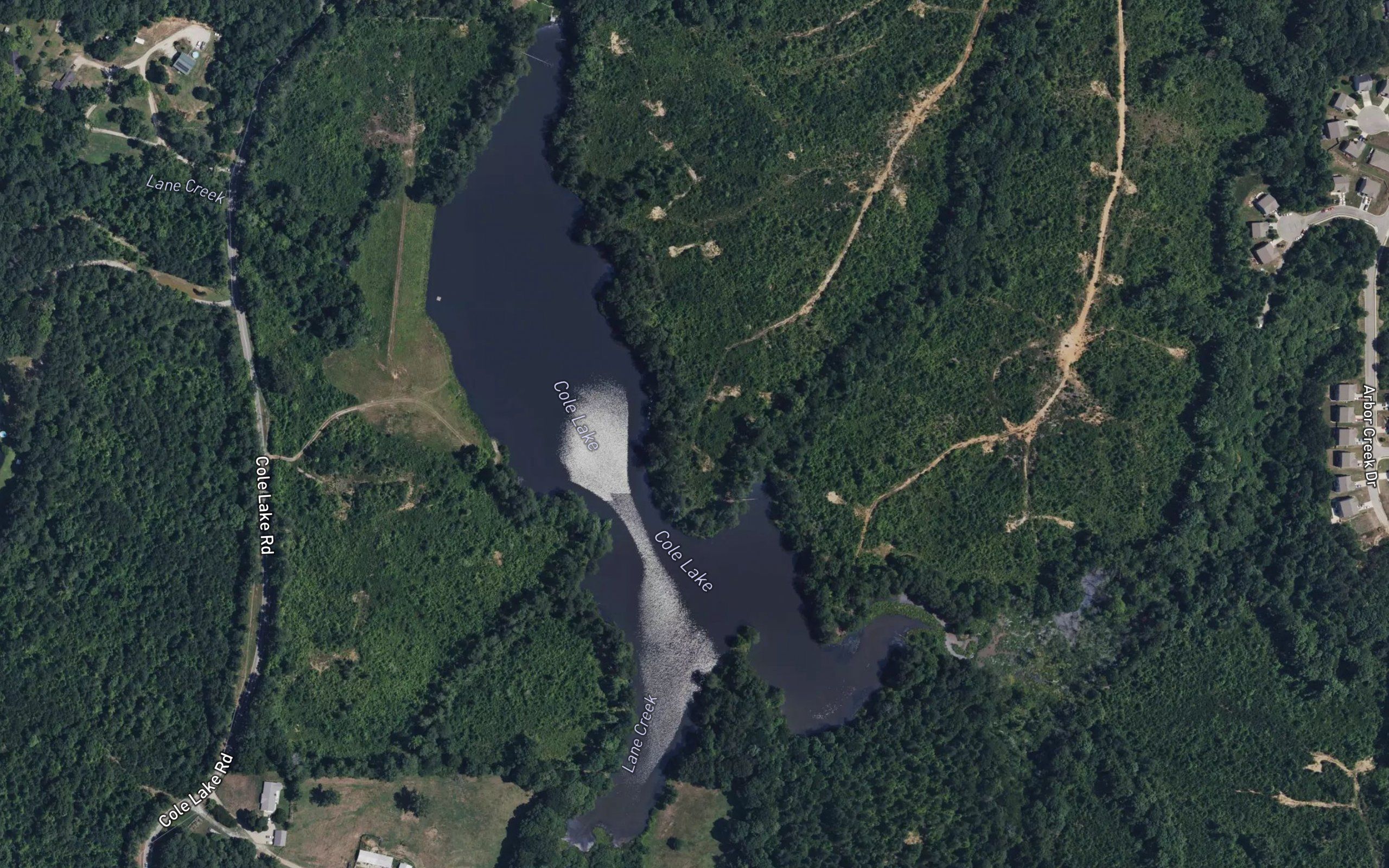 Cole Lake
