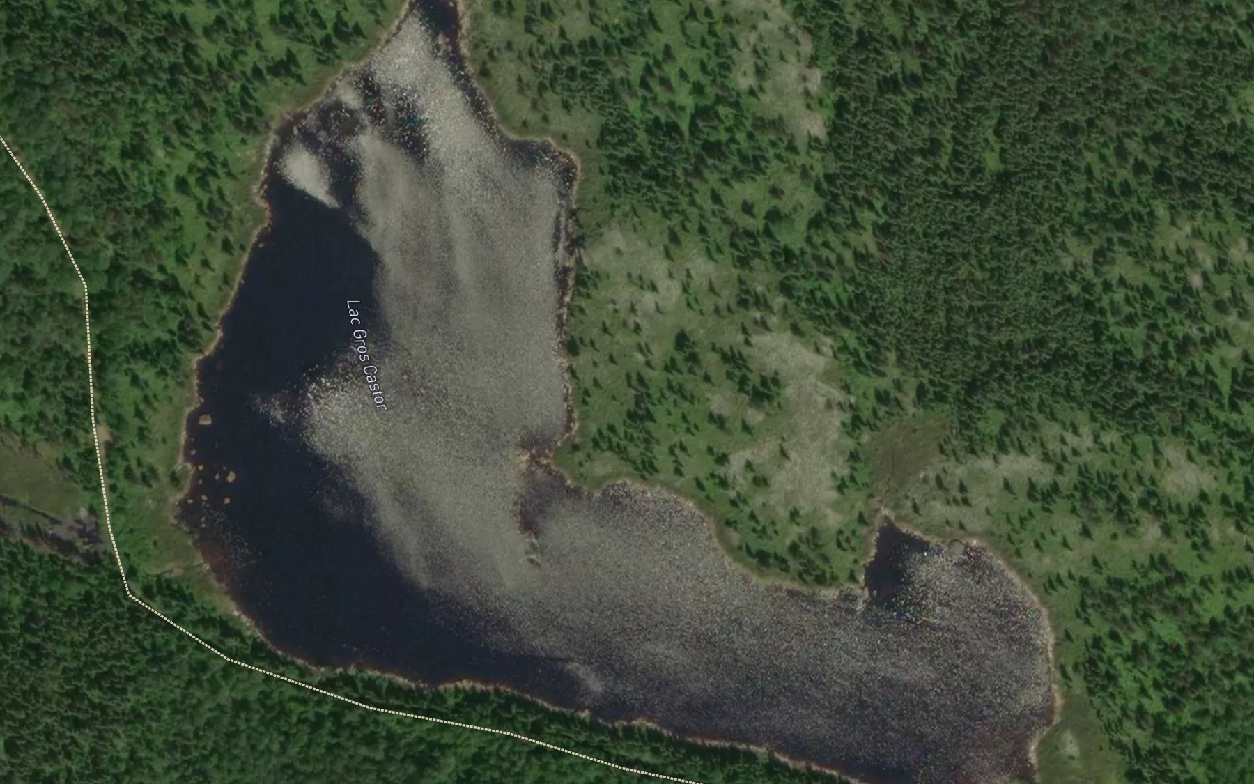 Satellite map of the Lac Gros Castor