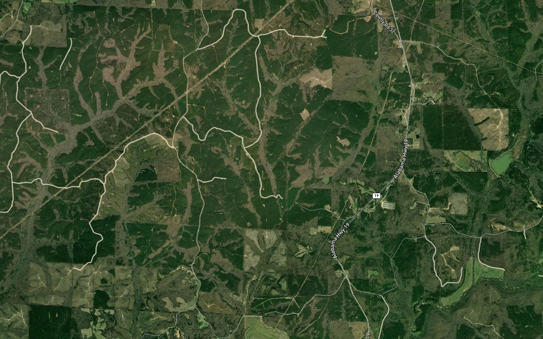 Satellite map of the Hurricane Branch
