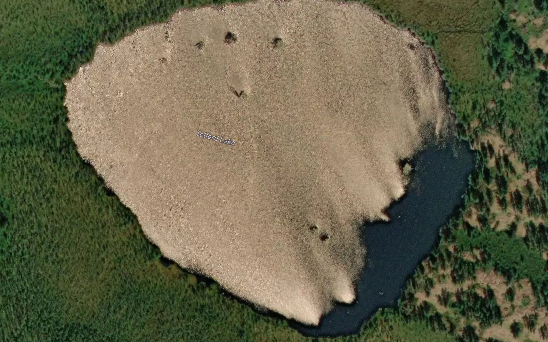 Satellite map of the Telford Lake