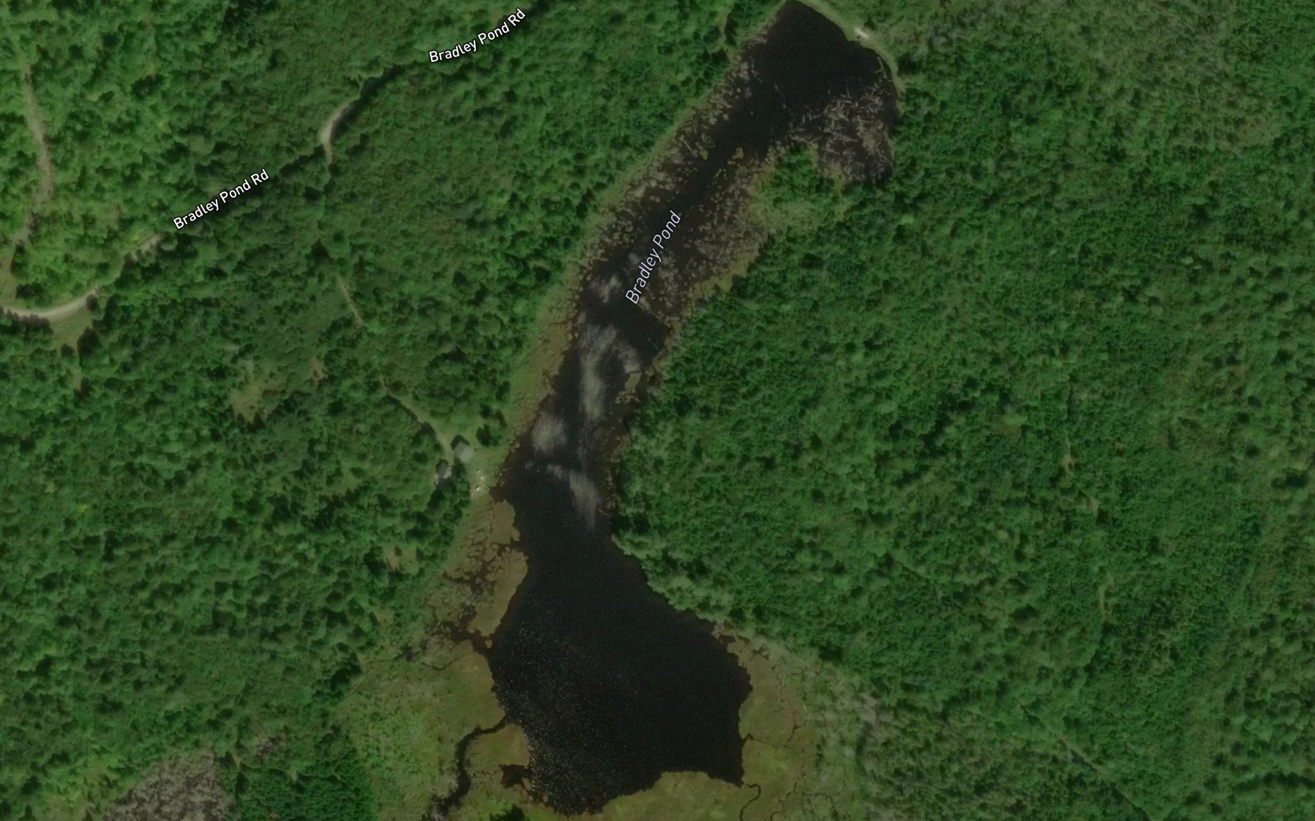 Bradley Pond