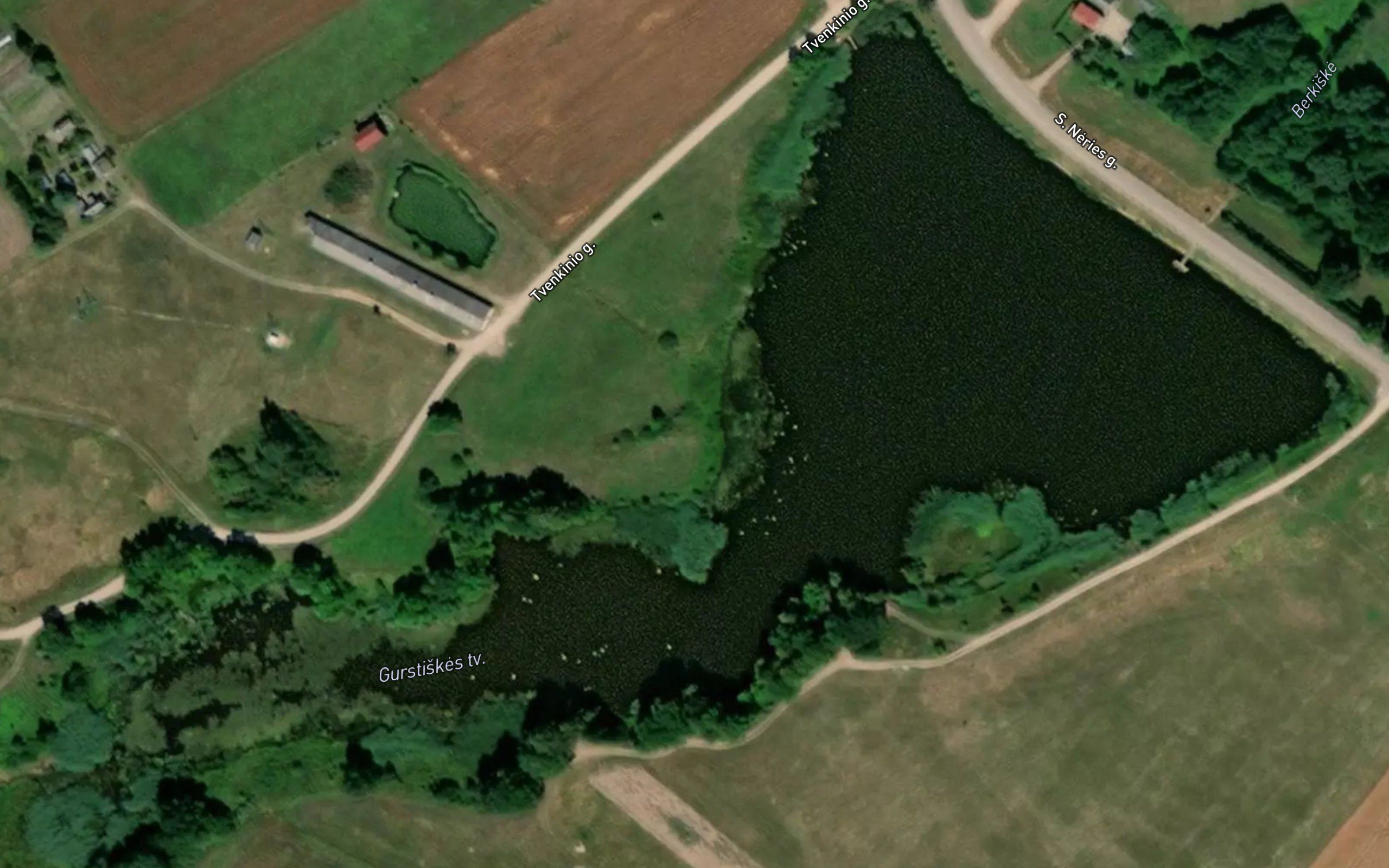 Gurstiskes Tvenkinys