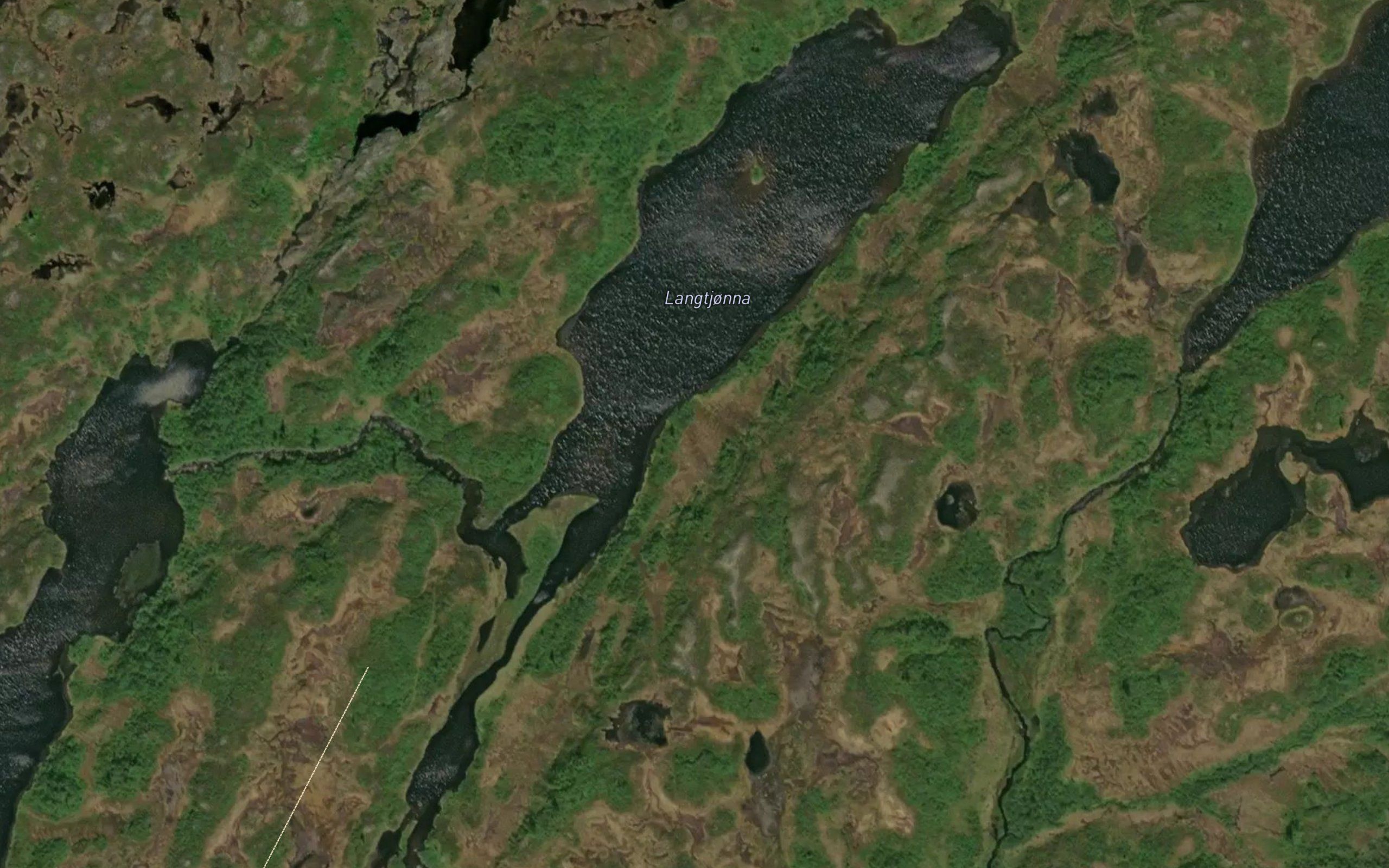 Langtjorna