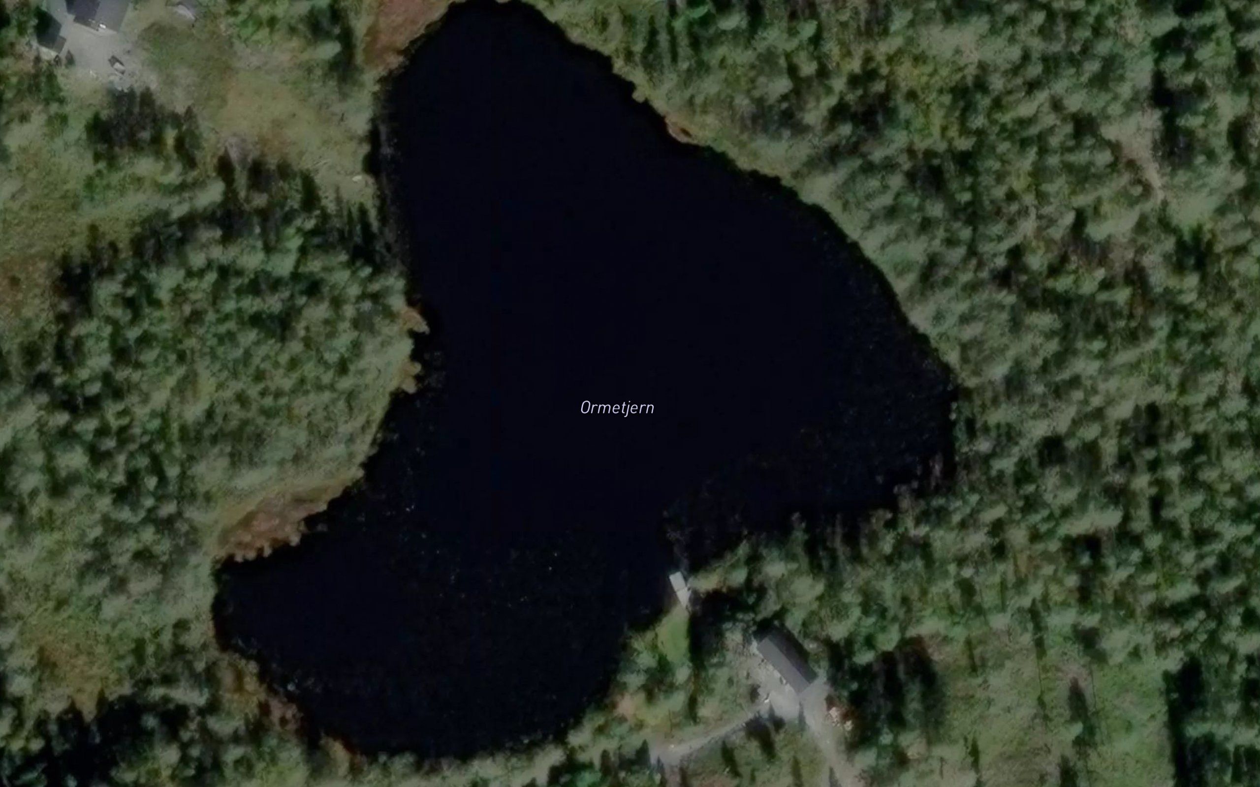 Ormtjern