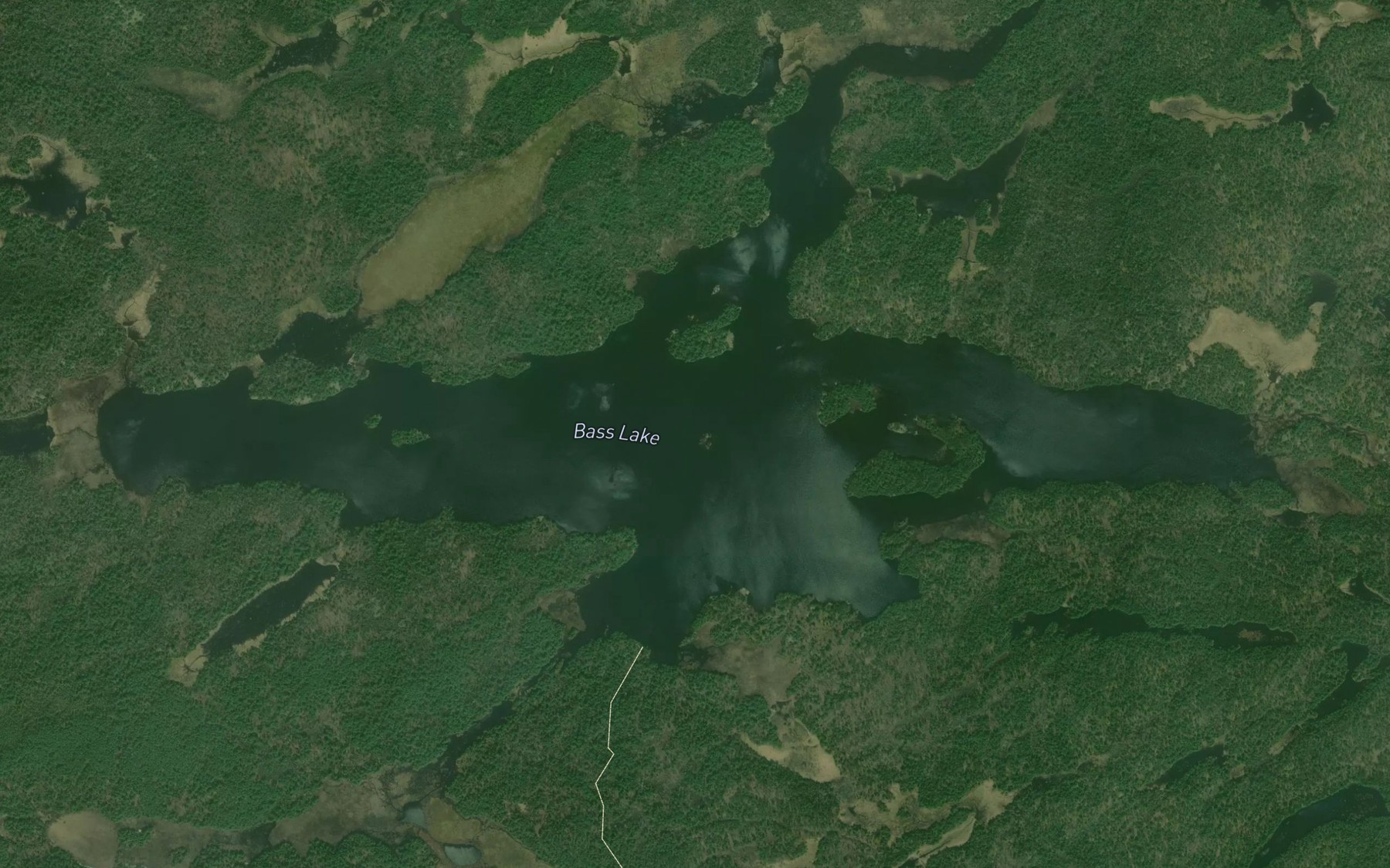 Satellite map of the Bass Lake