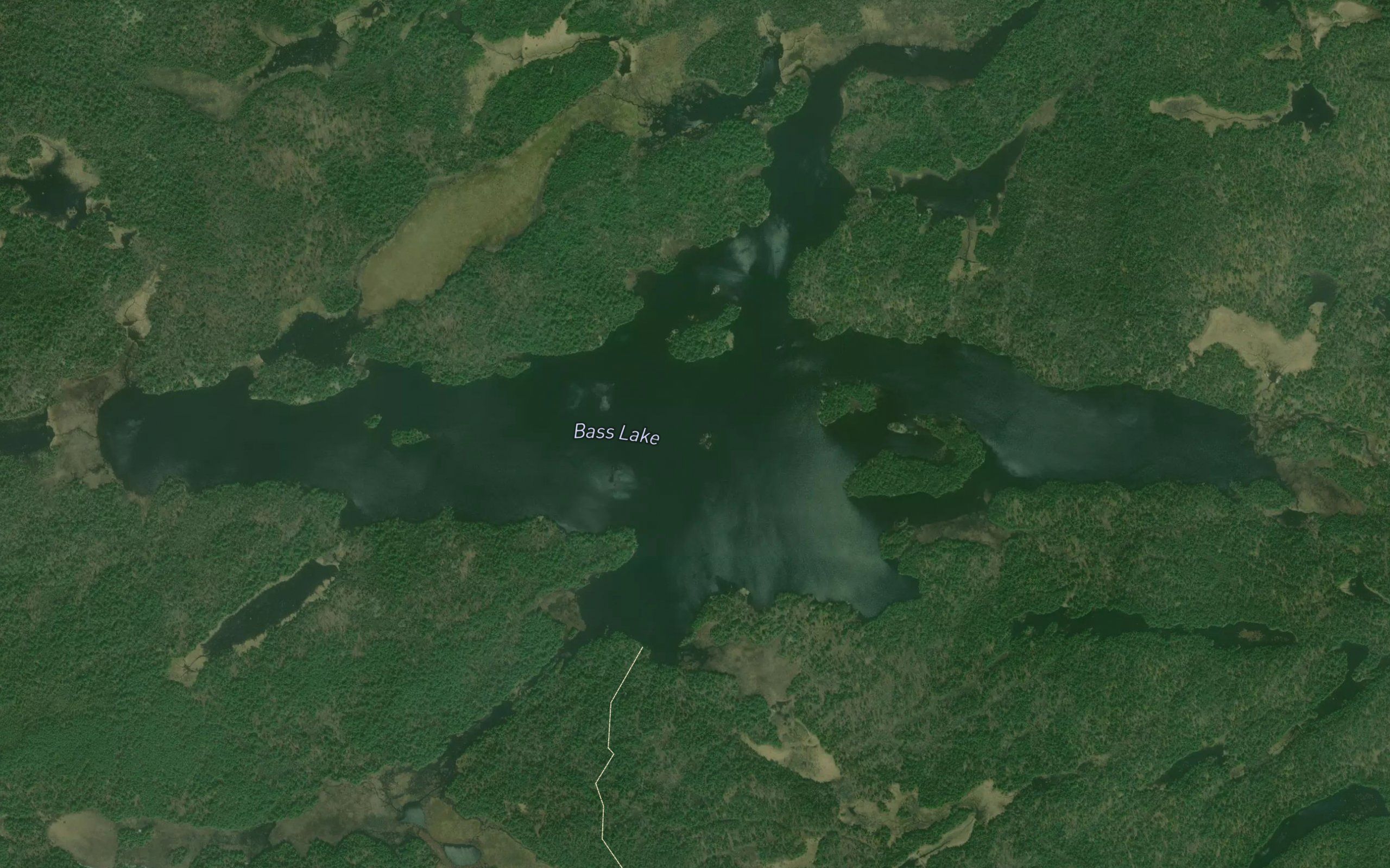 Bass Lake