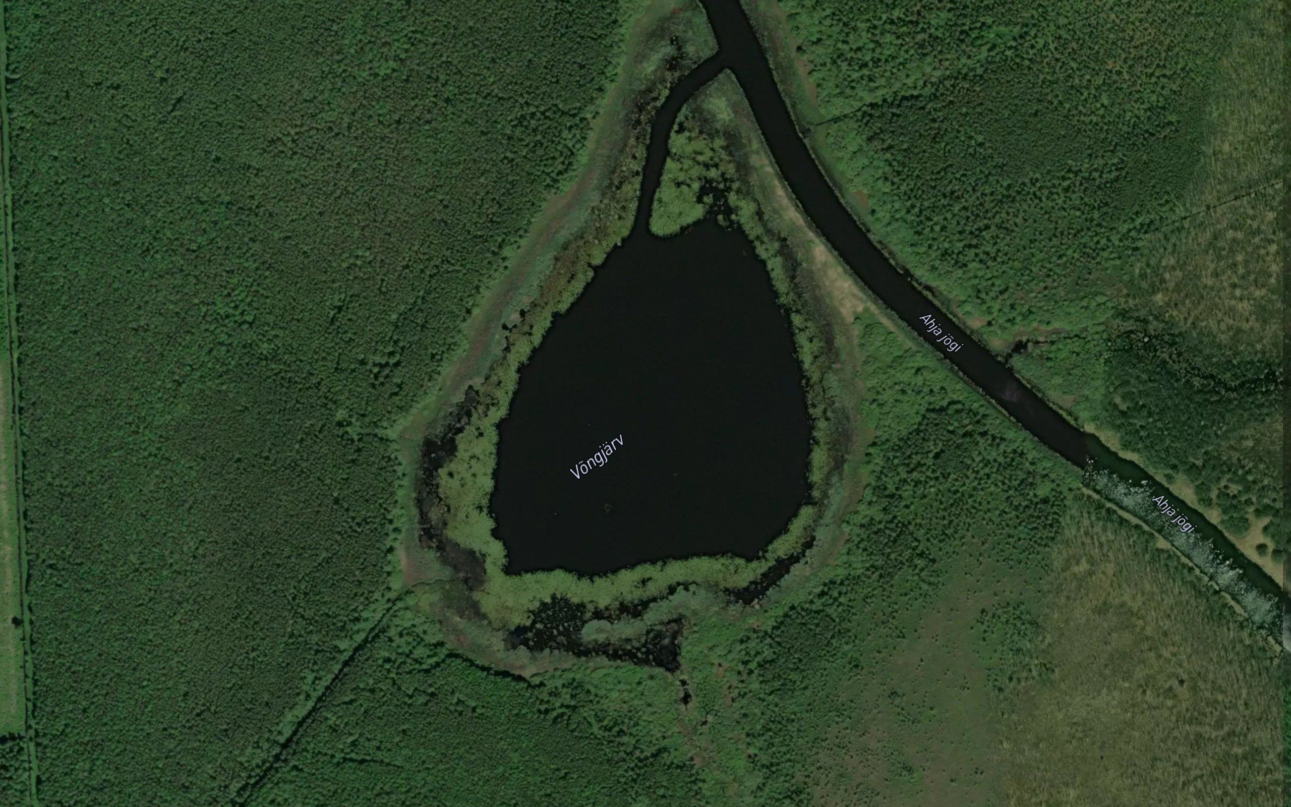 Vongjarv