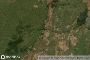 Nafisungwi