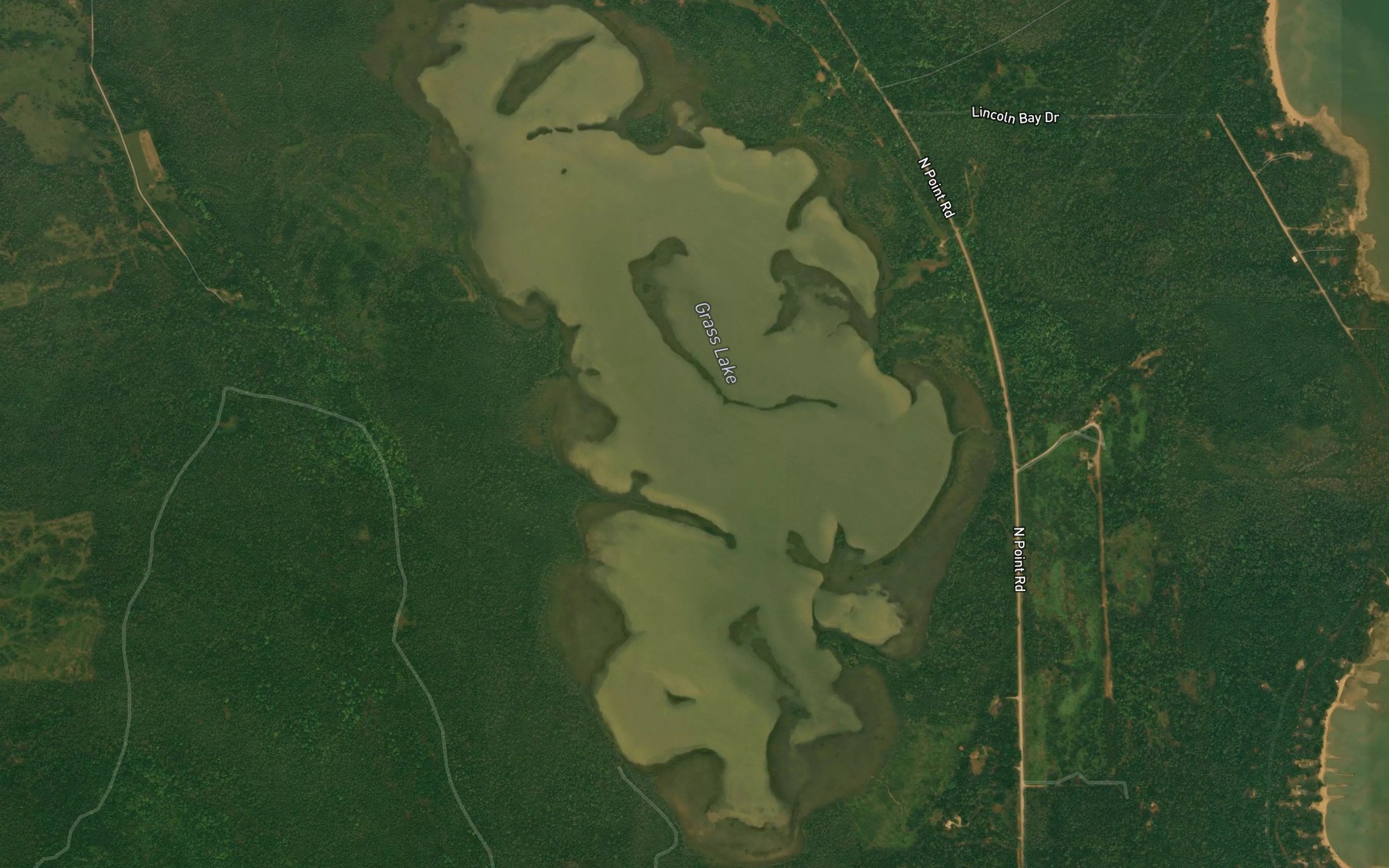 Satellite map of the Grass Lake