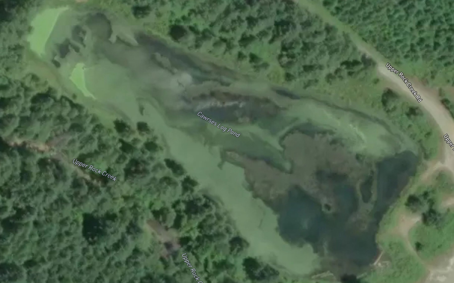 Satellite map of the Cawrses Log Pond