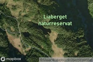 Bjornaholtjernet