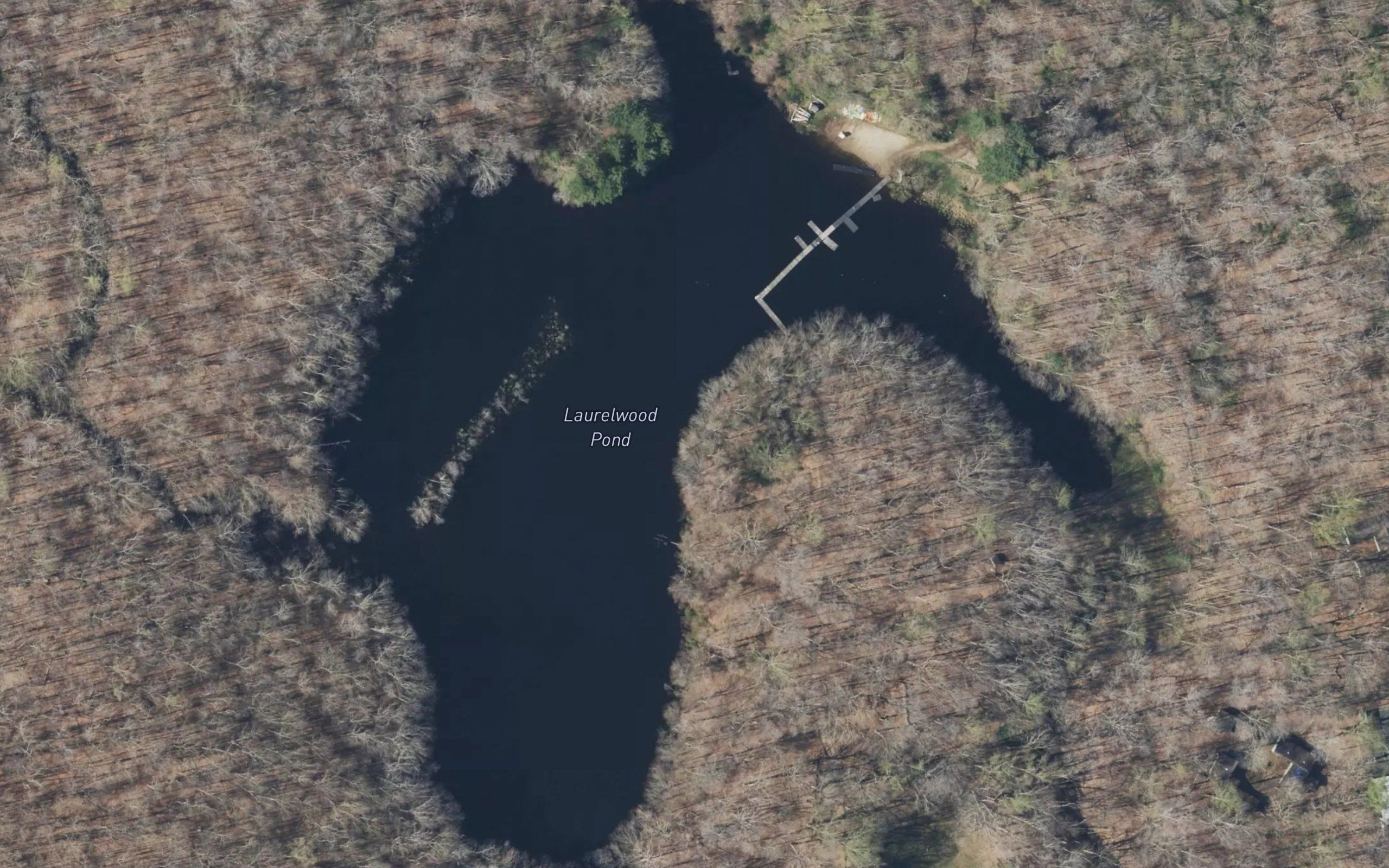 Laurelwood Pond