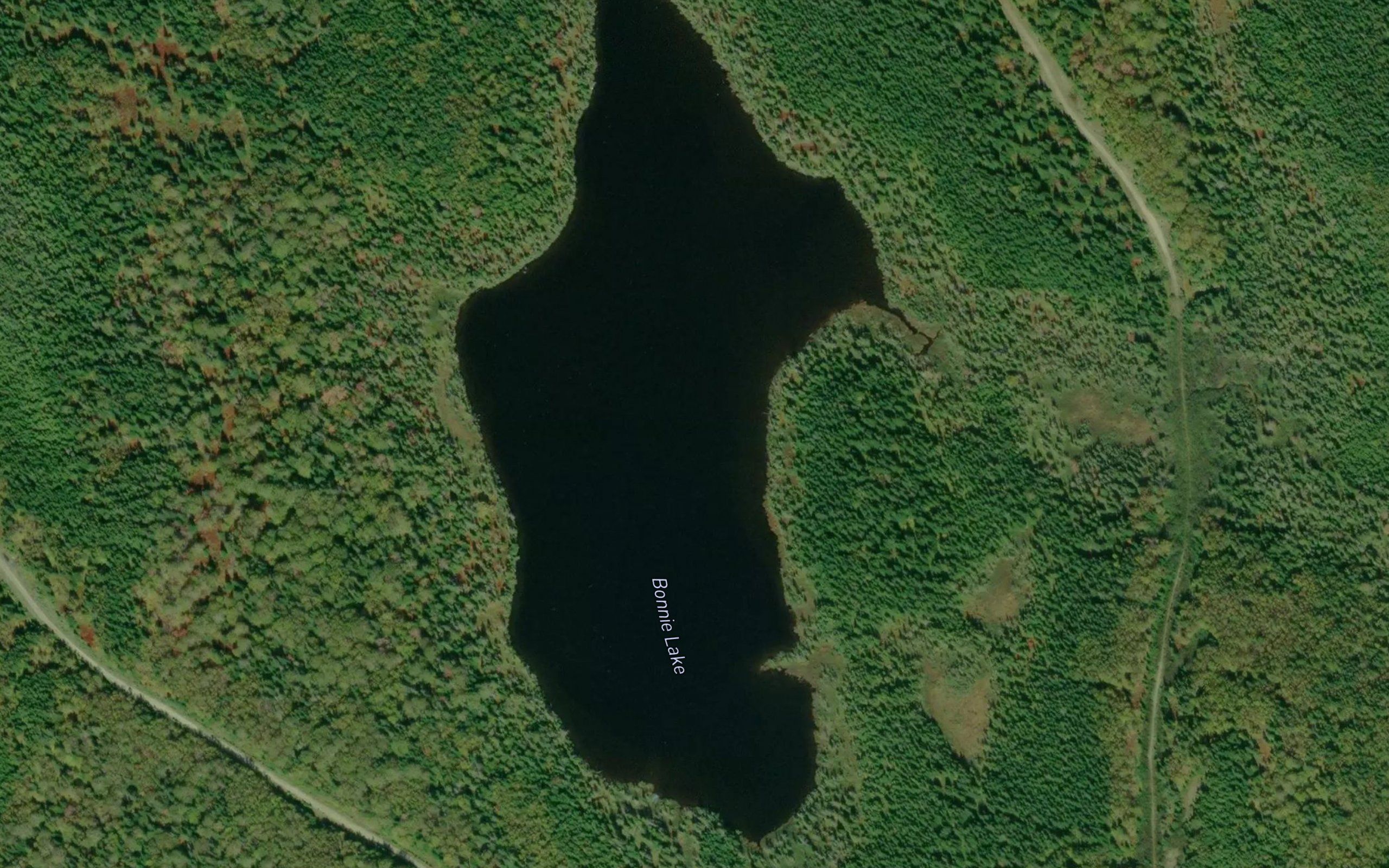 Bonnie Lake