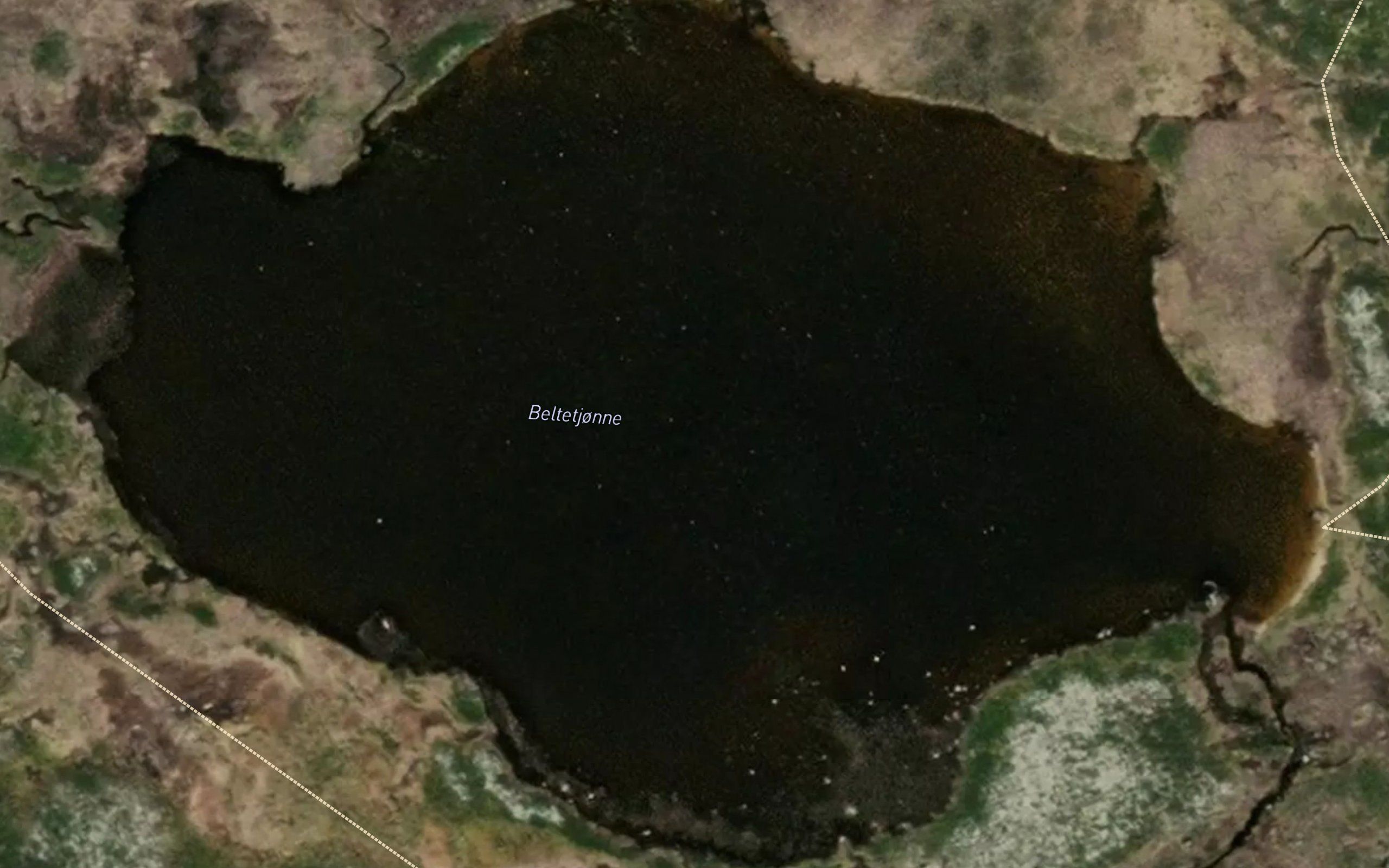 Beltetjonne
