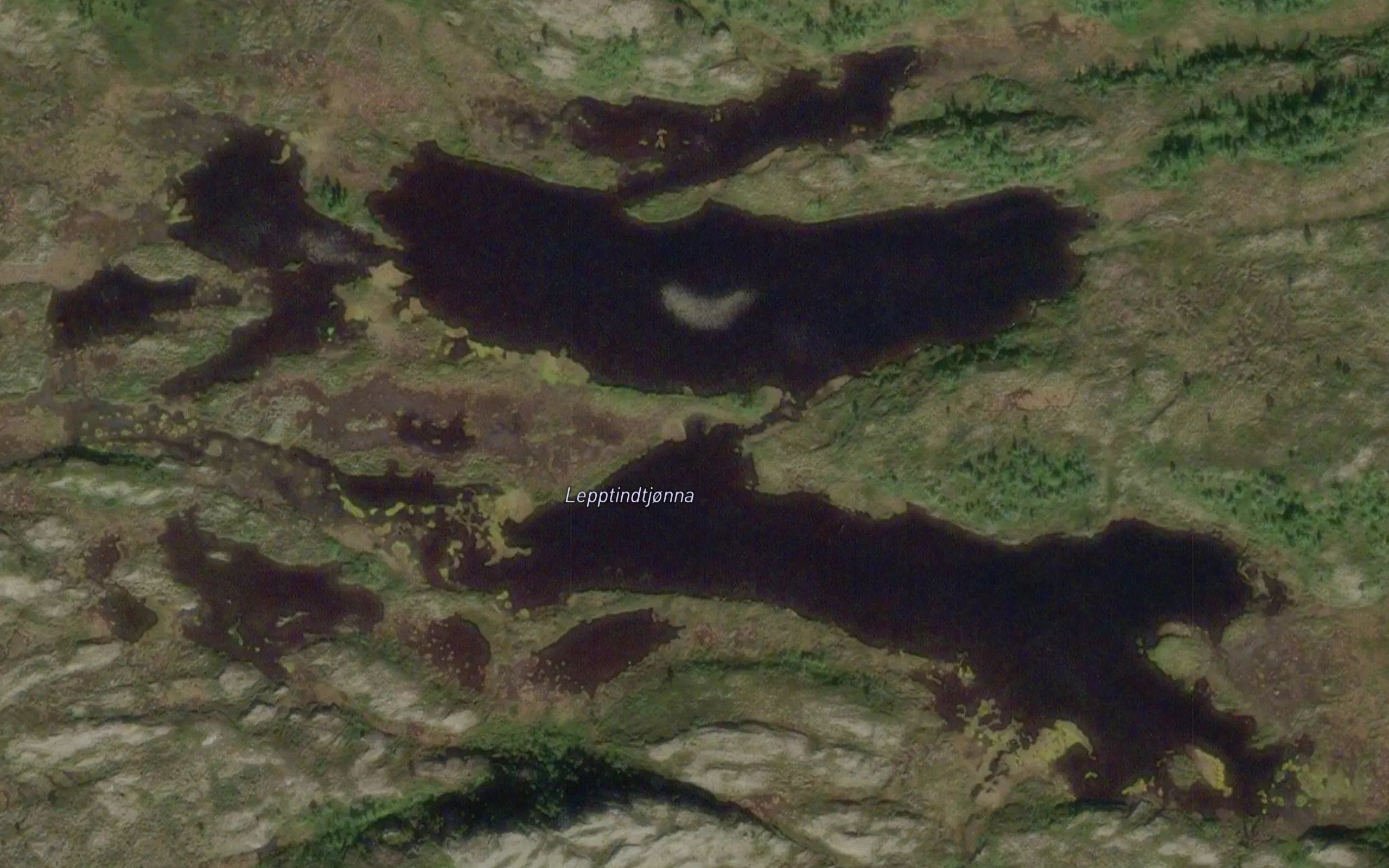 Leptindtjonna