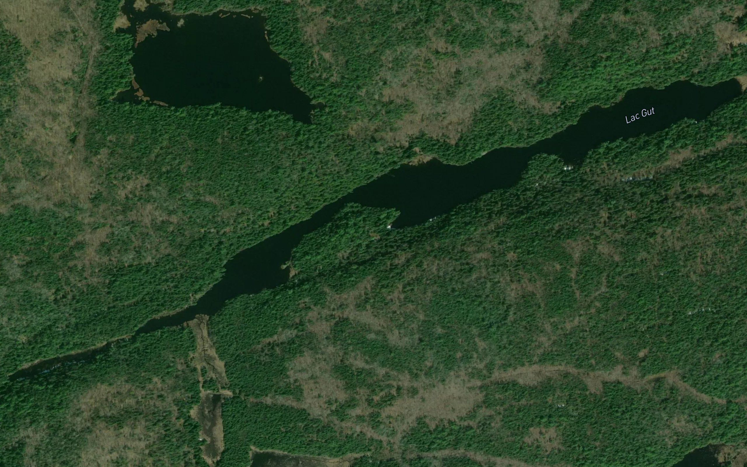 Lac Gut
