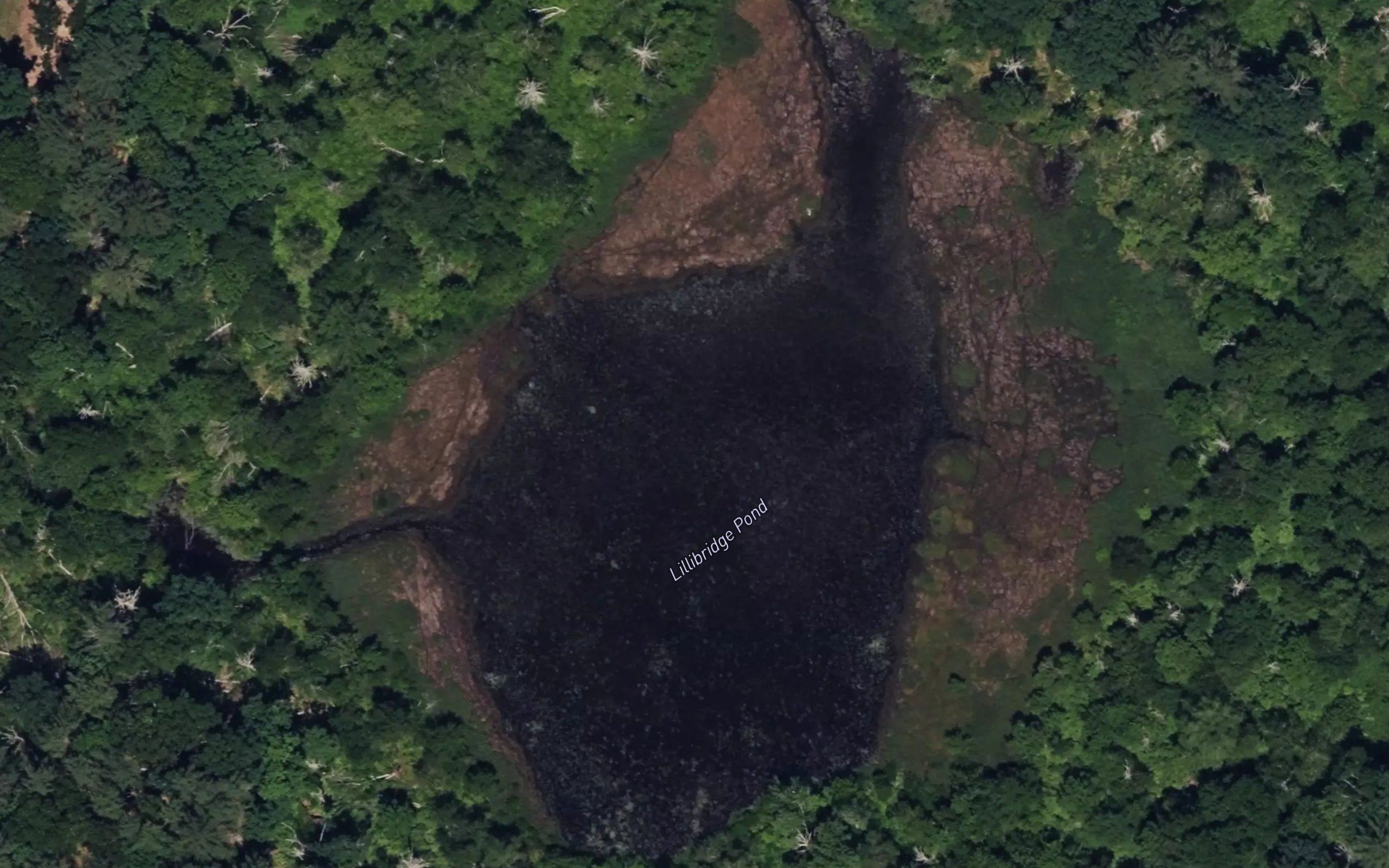 Lillibridge Pond
