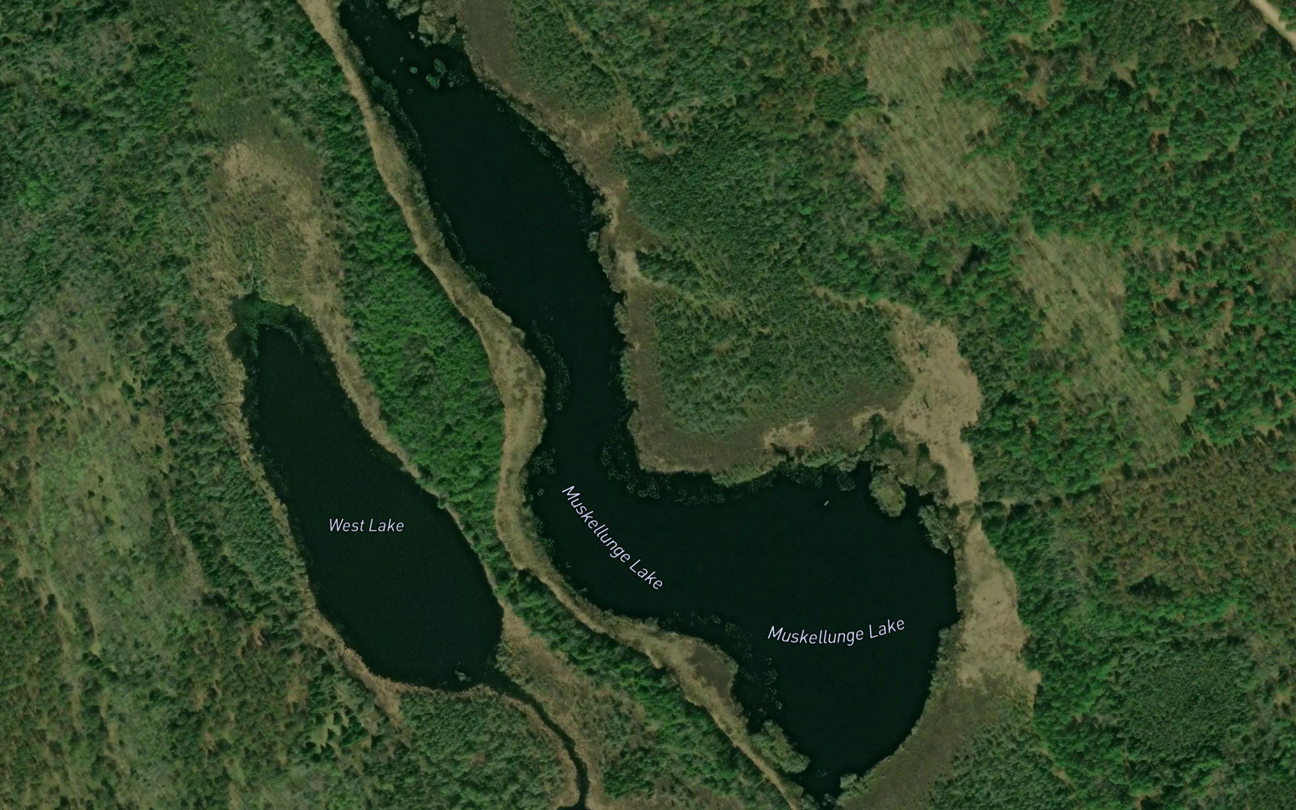 Muskellunge Lake