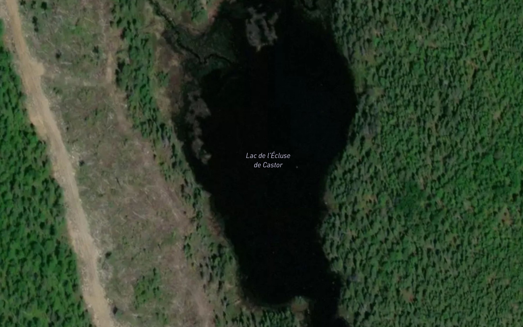 Satellite map of the Lac de l'Ecluse de Castor