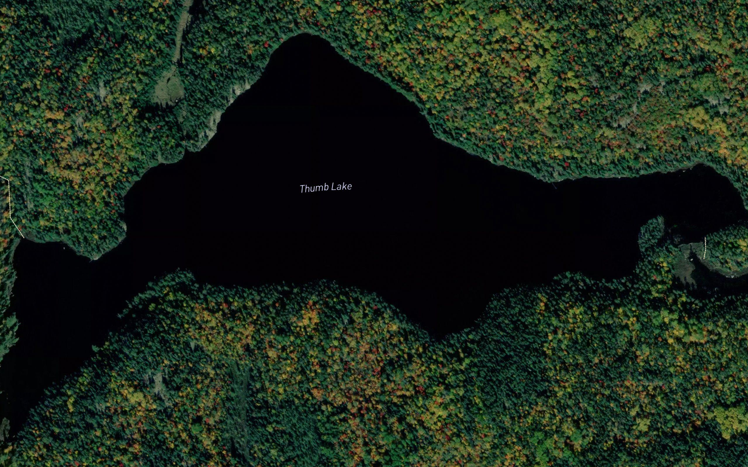 Thumb Lake