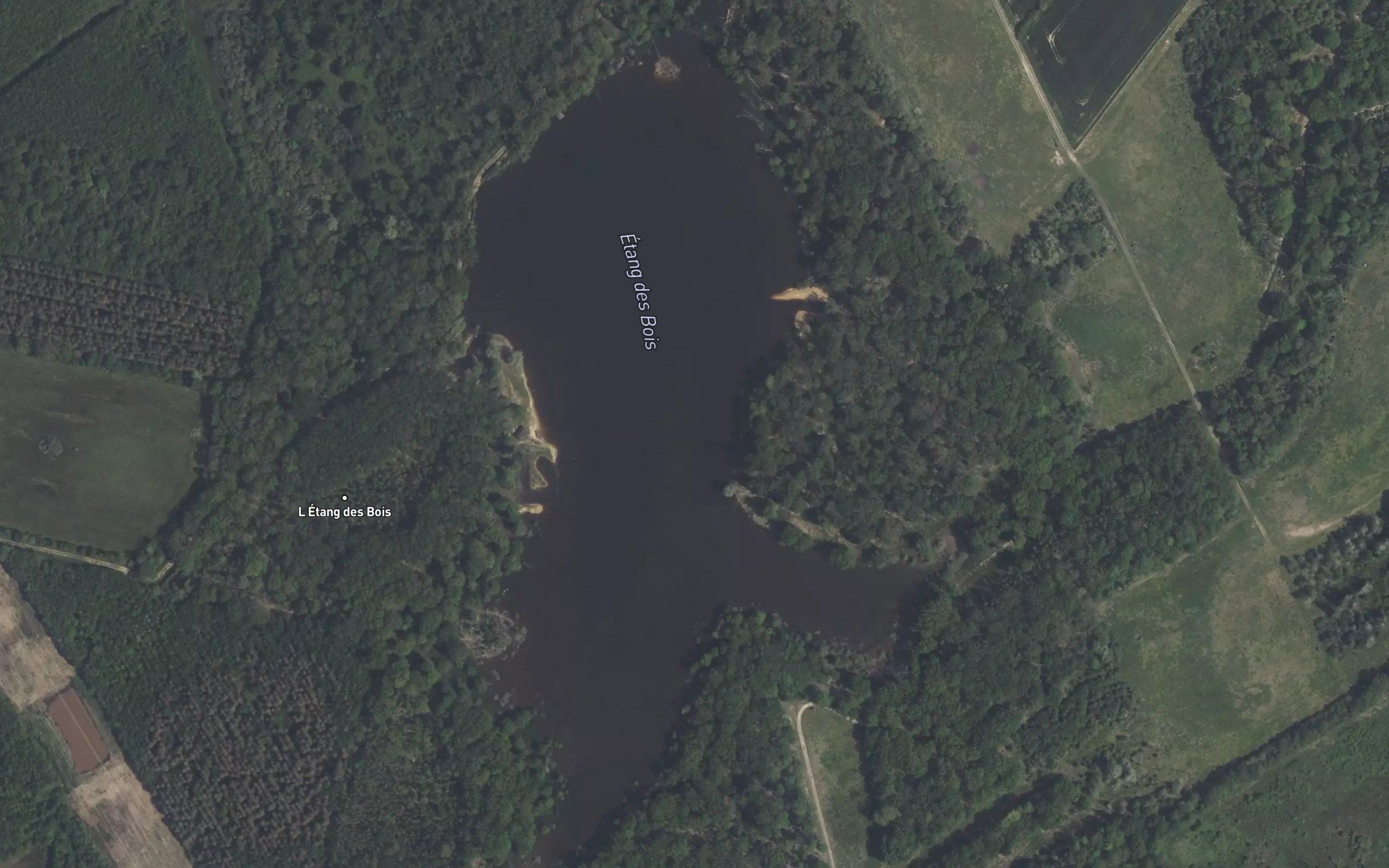 Etang des Bois