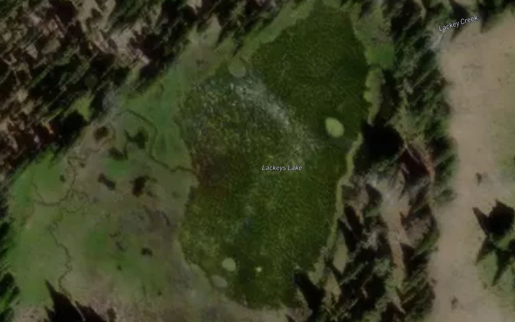 Satellite map of the Lackeys Lake